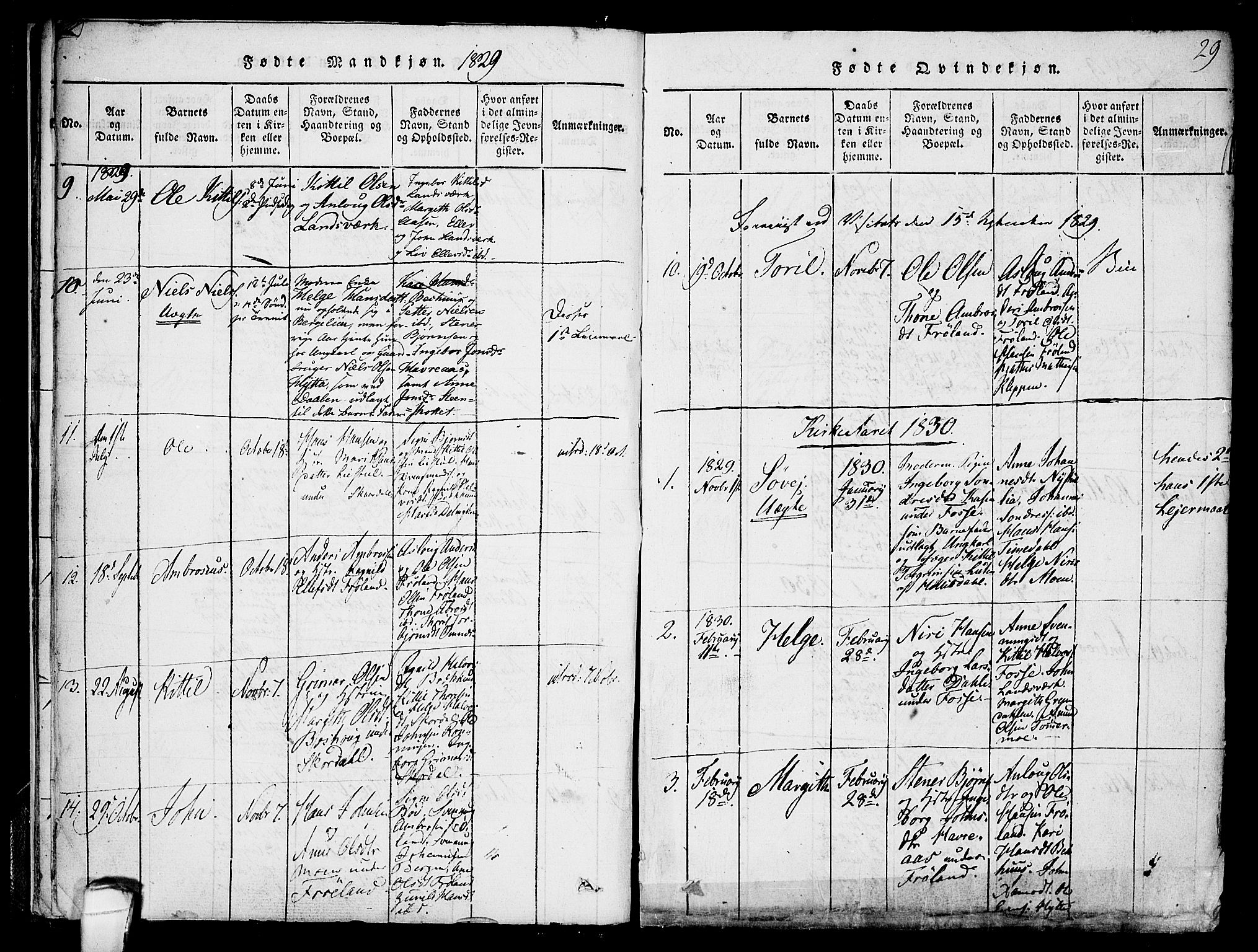 Hjartdal kirkebøker, SAKO/A-270/F/Fb/L0001: Parish register (official) no. II 1, 1815-1843, p. 29