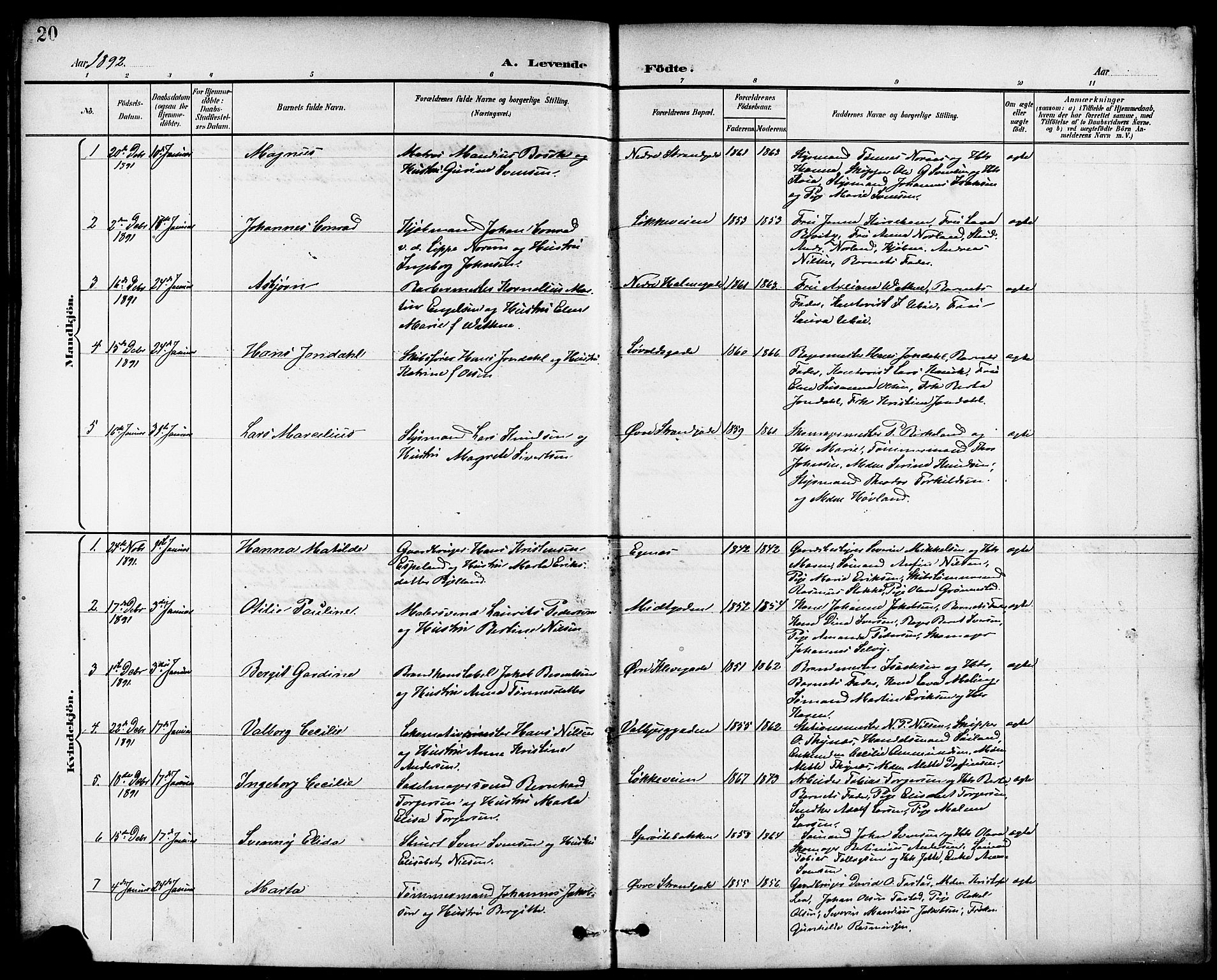 Domkirken sokneprestkontor, SAST/A-101812/001/30/30BB/L0016: Parish register (copy) no. B 16, 1891-1902, p. 20