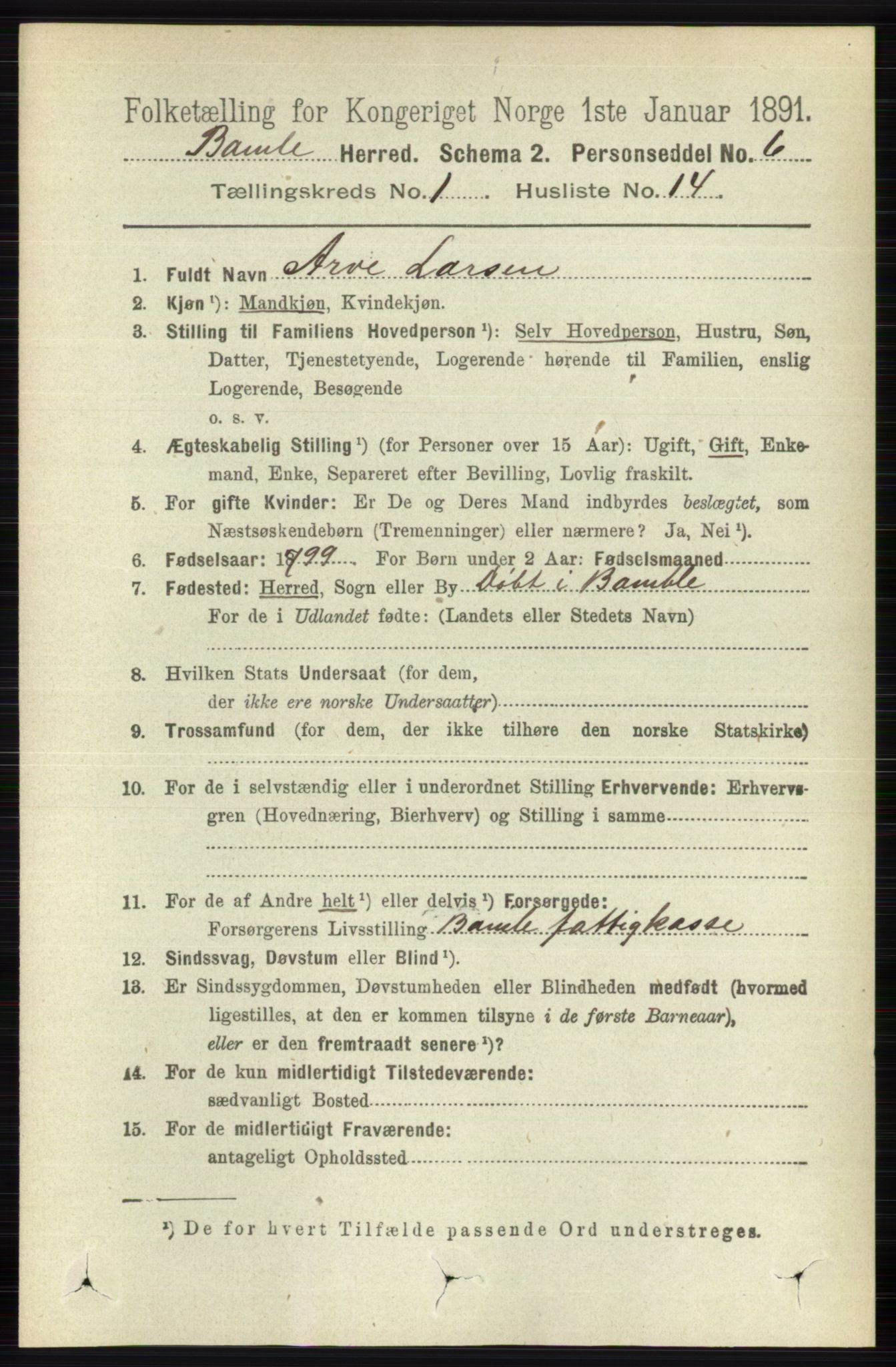 RA, 1891 census for 0814 Bamble, 1891, p. 224