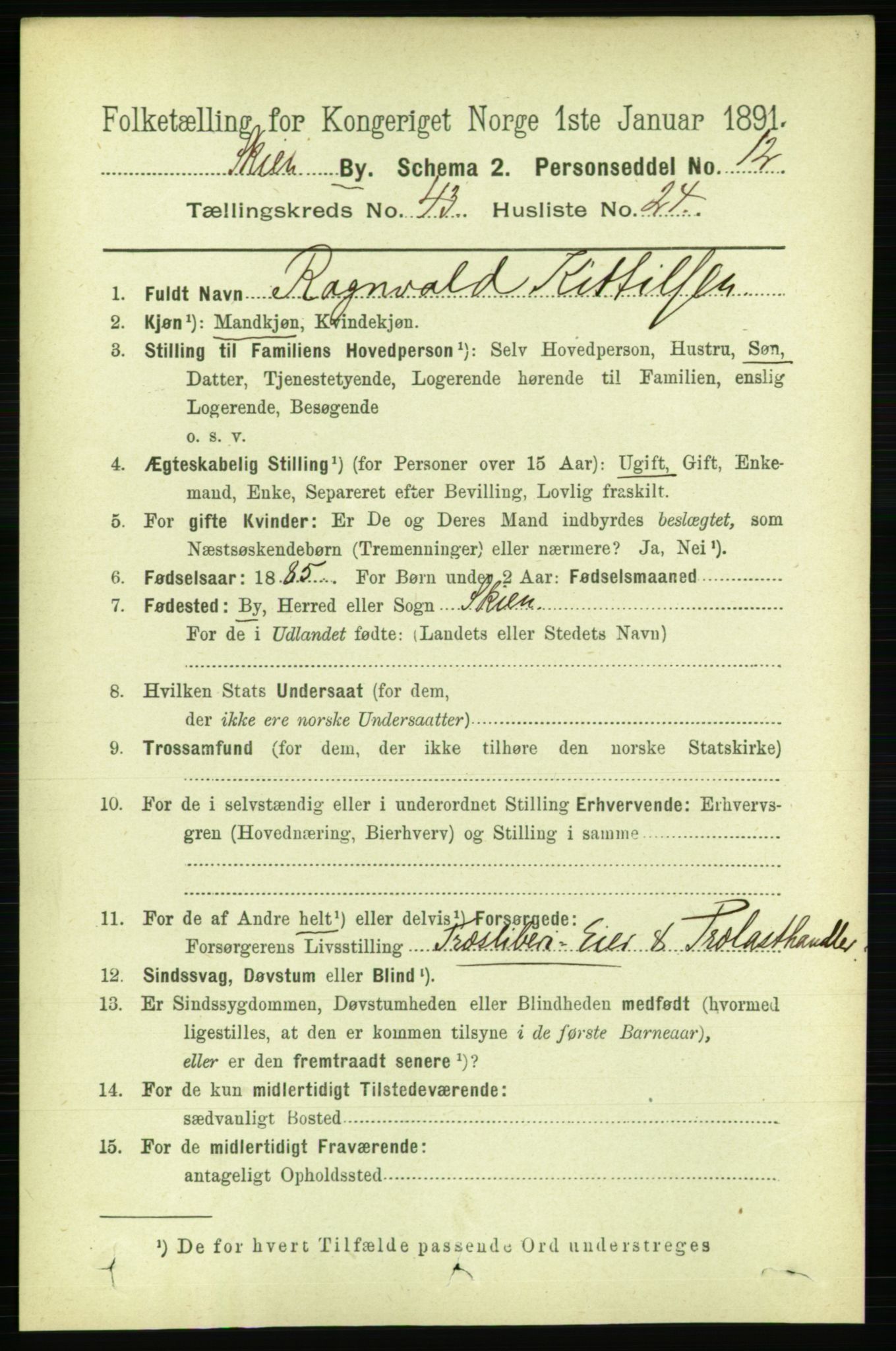 RA, 1891 census for 0806 Skien, 1891, p. 8758