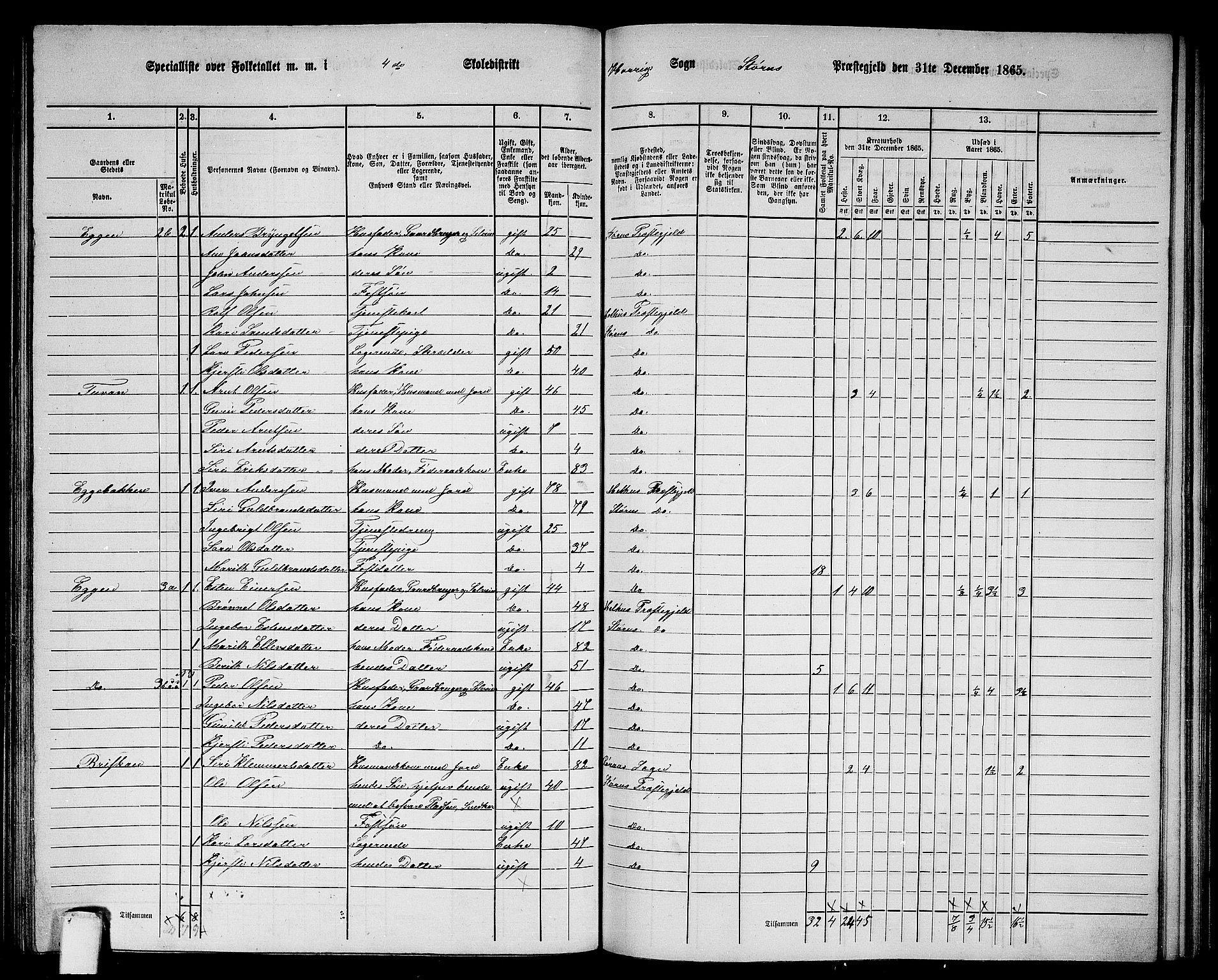 RA, 1865 census for Støren, 1865, p. 172