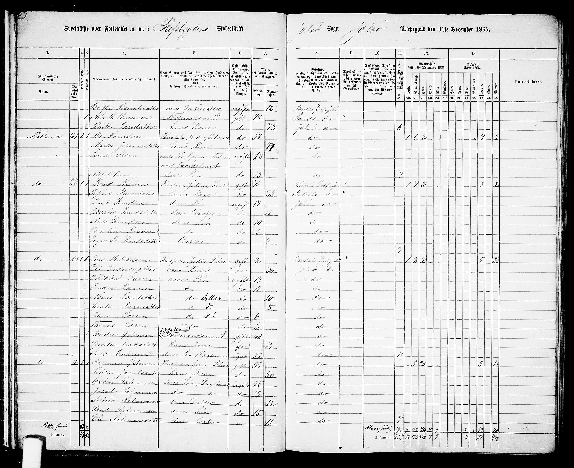 RA, 1865 census for Jelsa, 1865, p. 16