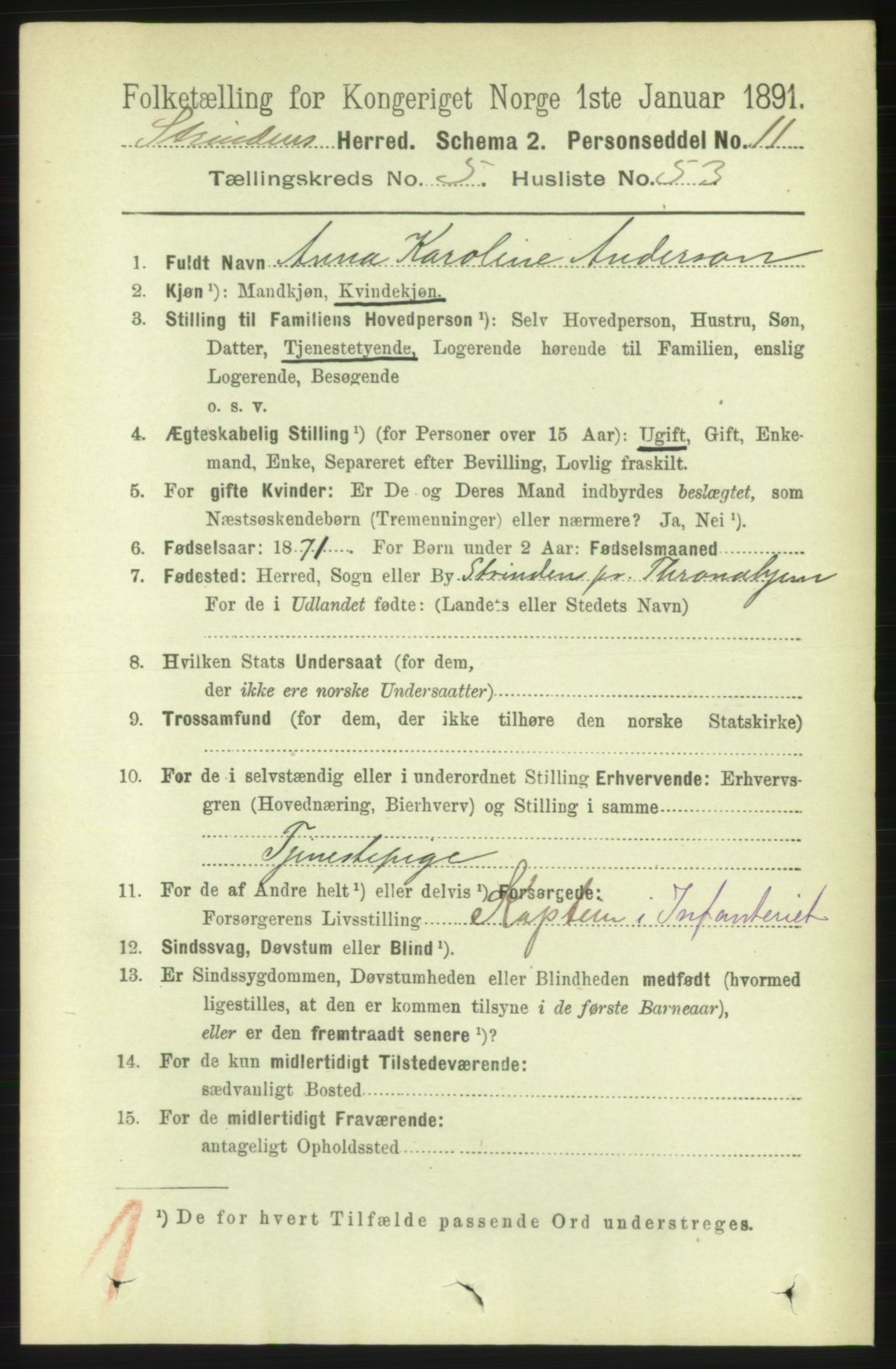 RA, 1891 census for 1660 Strinda, 1891, p. 5010