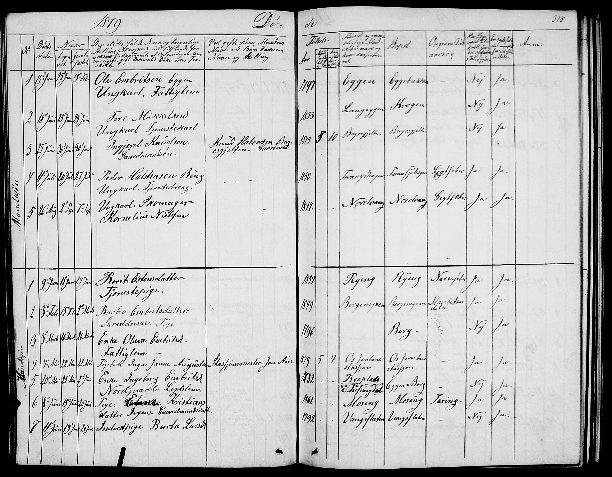 Tolga prestekontor, SAH/PREST-062/L/L0004: Parish register (copy) no. 4, 1845-1887, p. 315