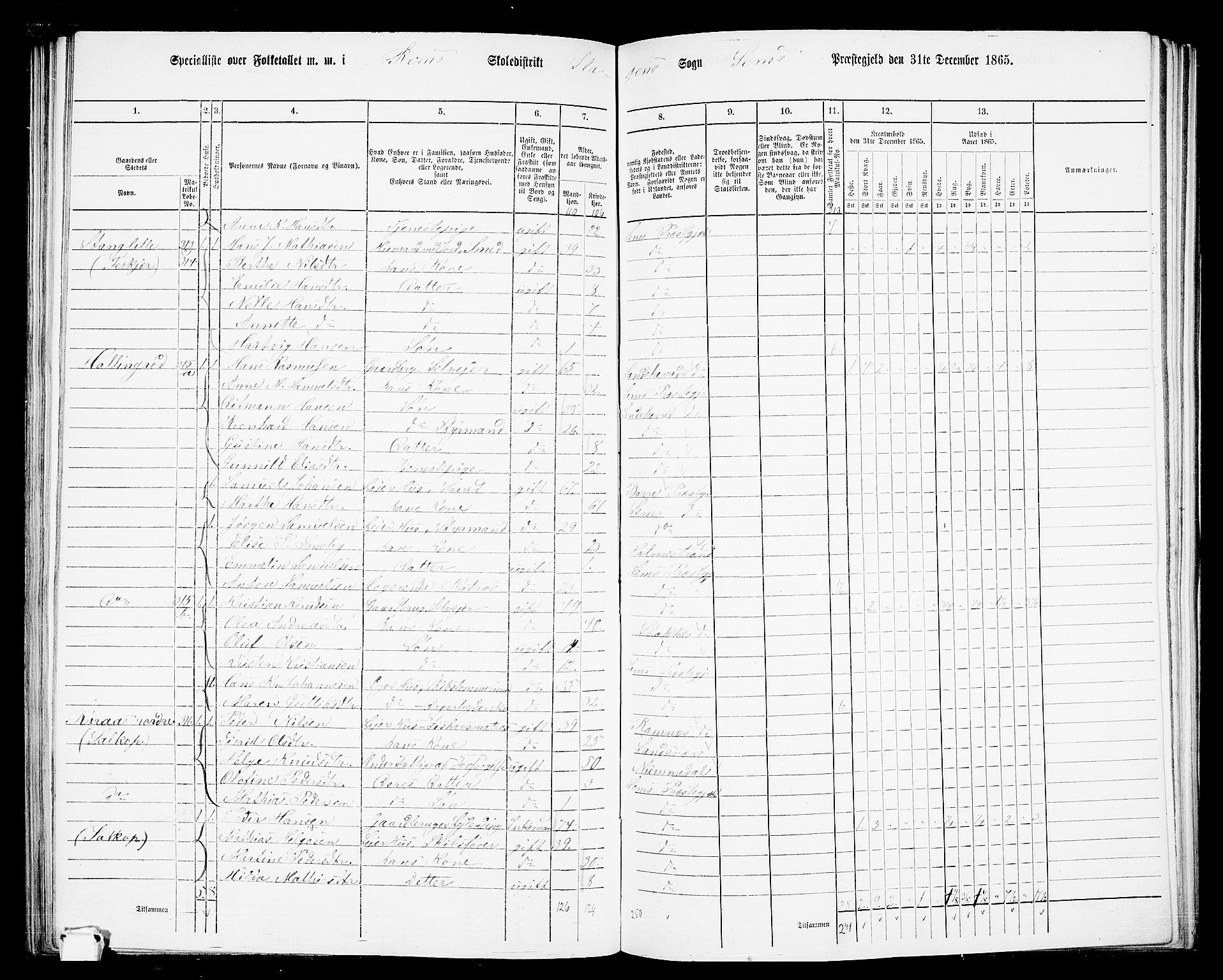 RA, 1865 census for Sem, 1865, p. 137