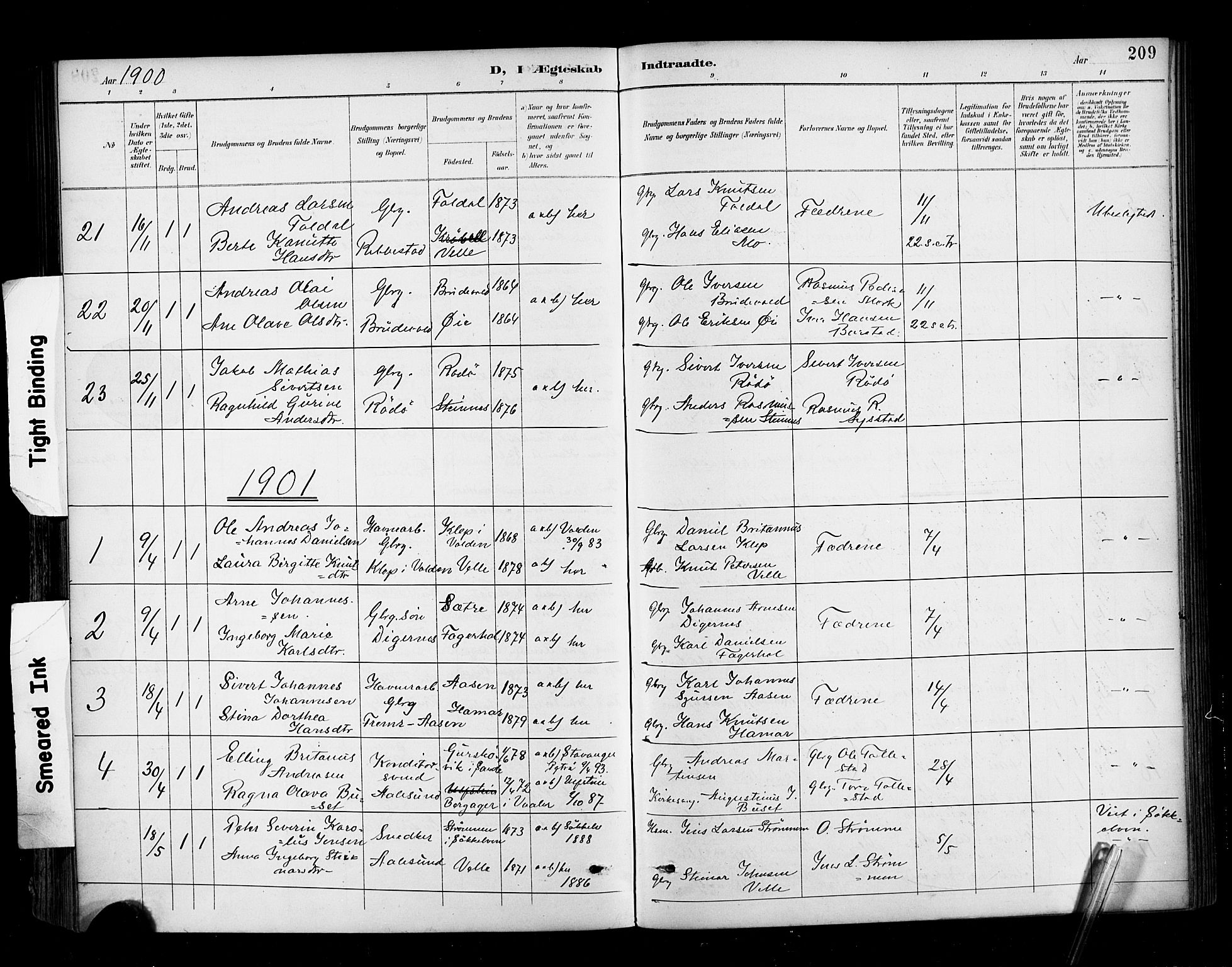 Ministerialprotokoller, klokkerbøker og fødselsregistre - Møre og Romsdal, AV/SAT-A-1454/513/L0177: Parish register (official) no. 513A04, 1890-1906, p. 209