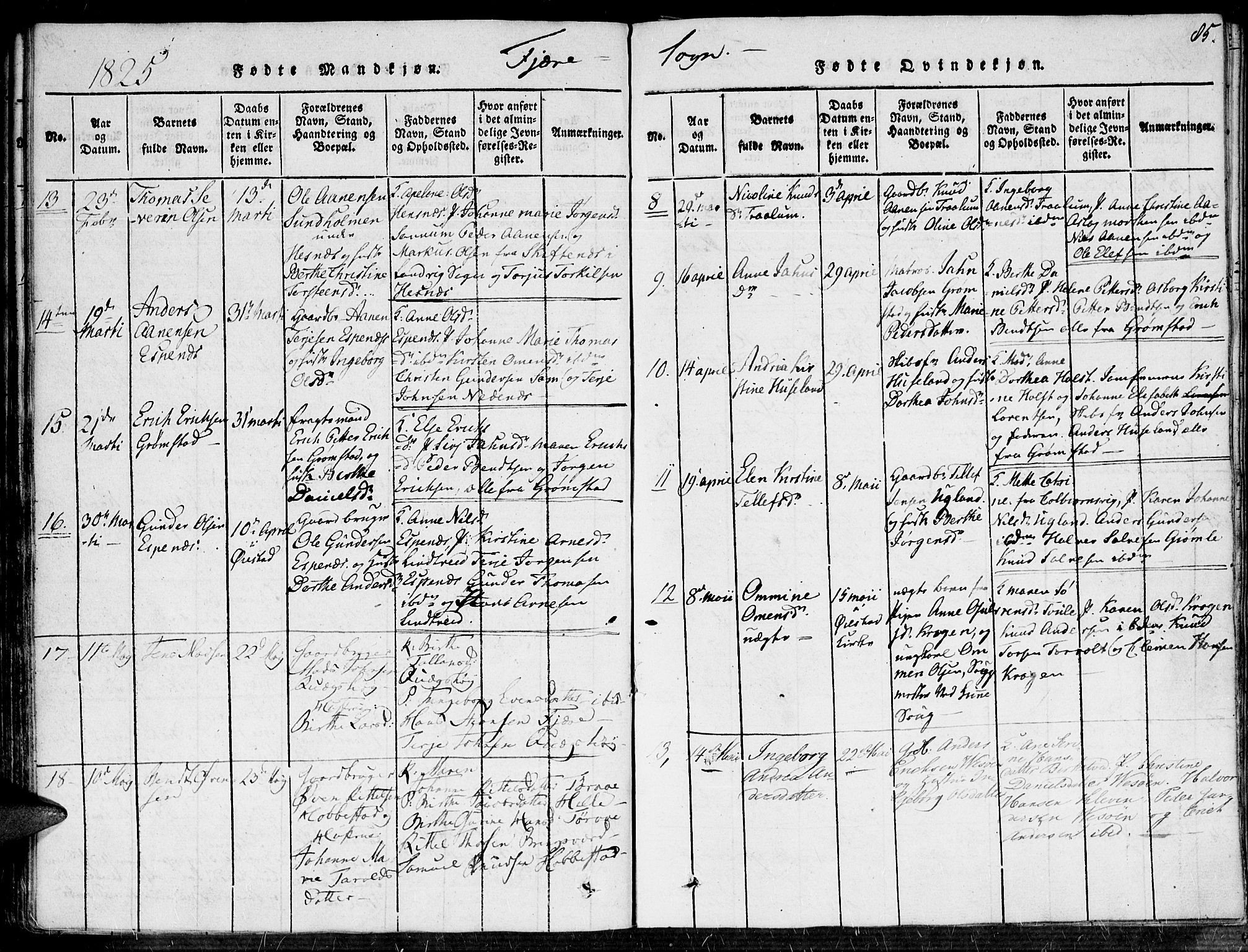Fjære sokneprestkontor, SAK/1111-0011/F/Fa/L0001: Parish register (official) no. A 1 /1, 1816-1826, p. 85