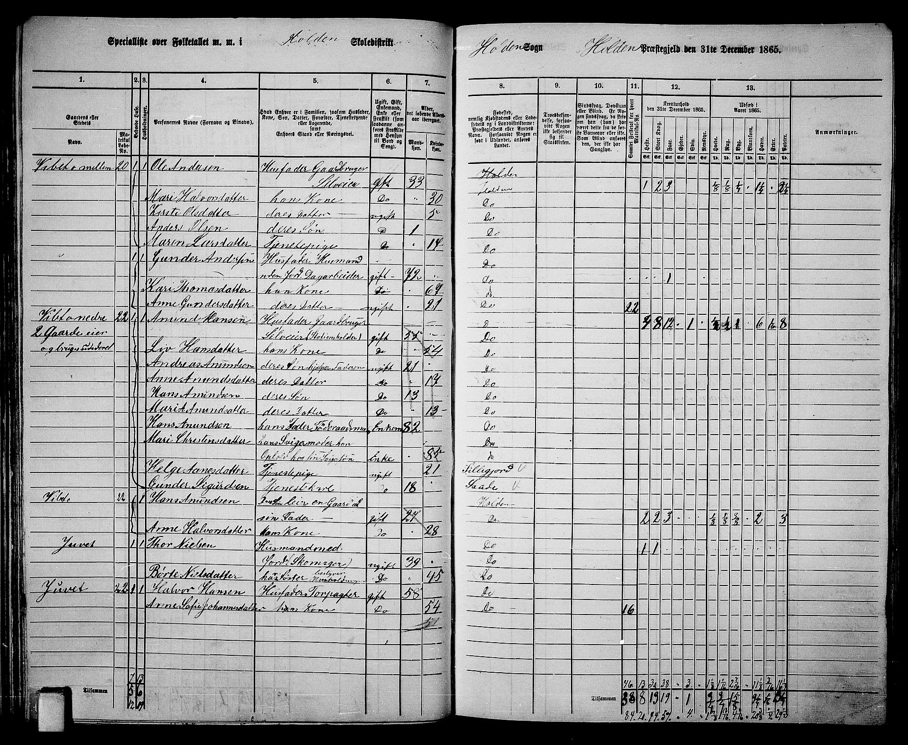 RA, 1865 census for Holla, 1865, p. 44