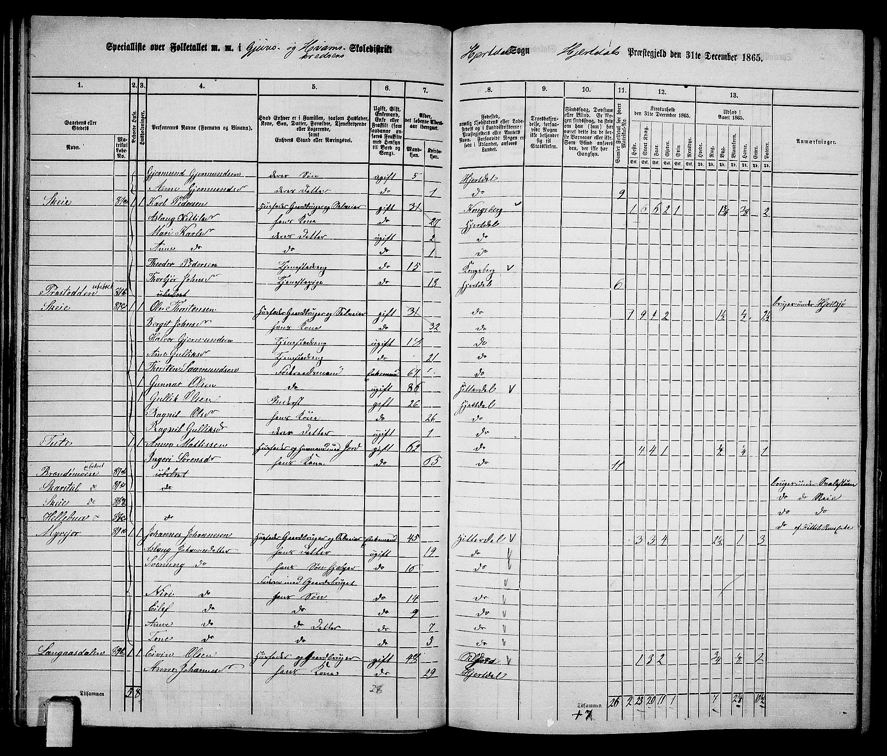 RA, 1865 census for Hjartdal, 1865, p. 41