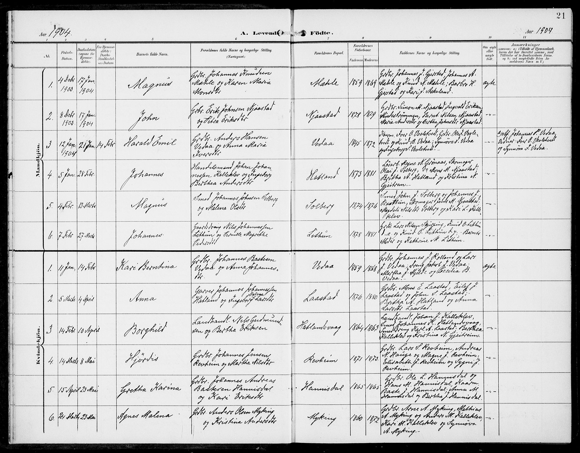Haus sokneprestembete, SAB/A-75601/H/Haa: Parish register (official) no. C  2, 1900-1915, p. 21
