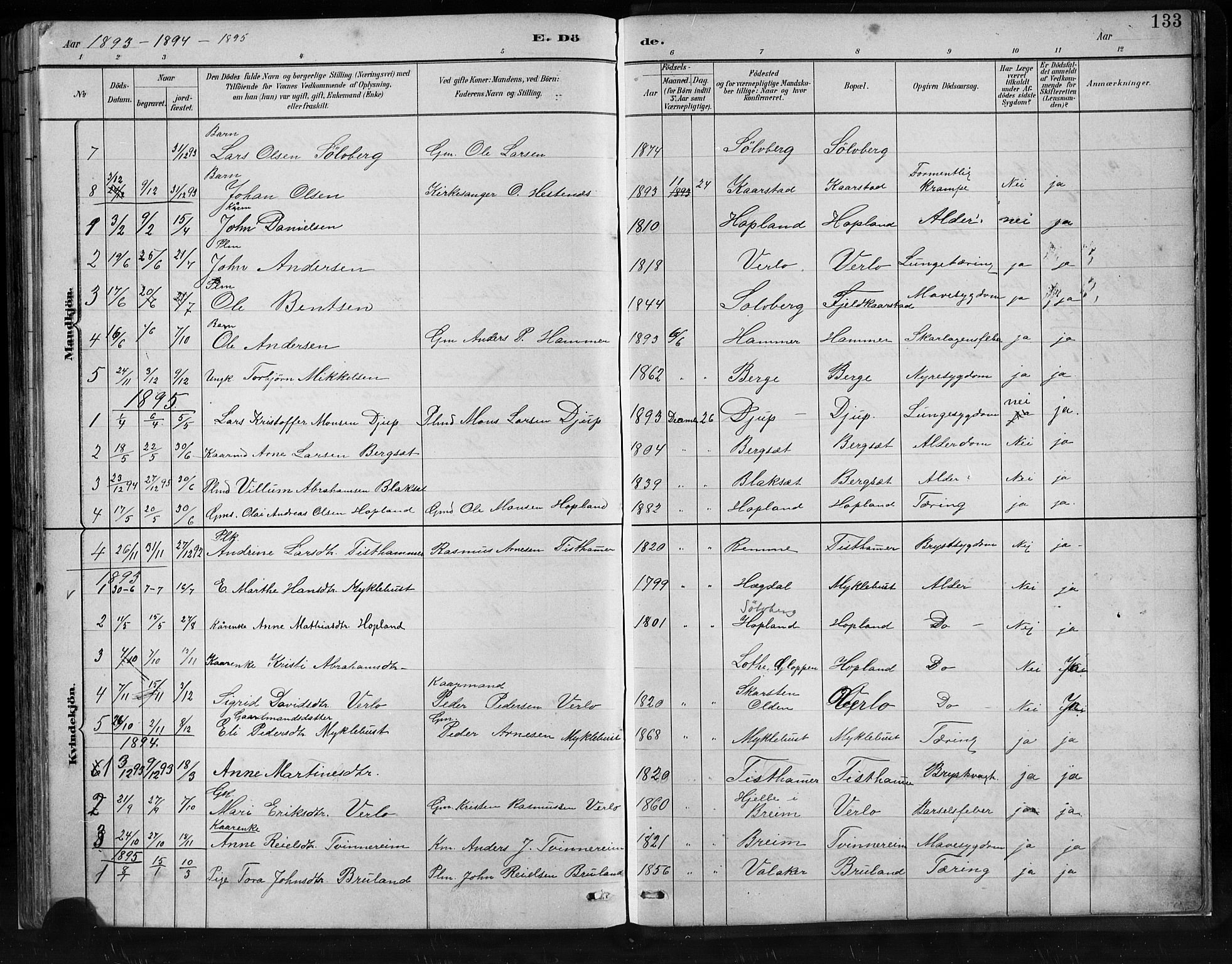Innvik sokneprestembete, SAB/A-80501: Parish register (copy) no. C 3, 1883-1911, p. 133