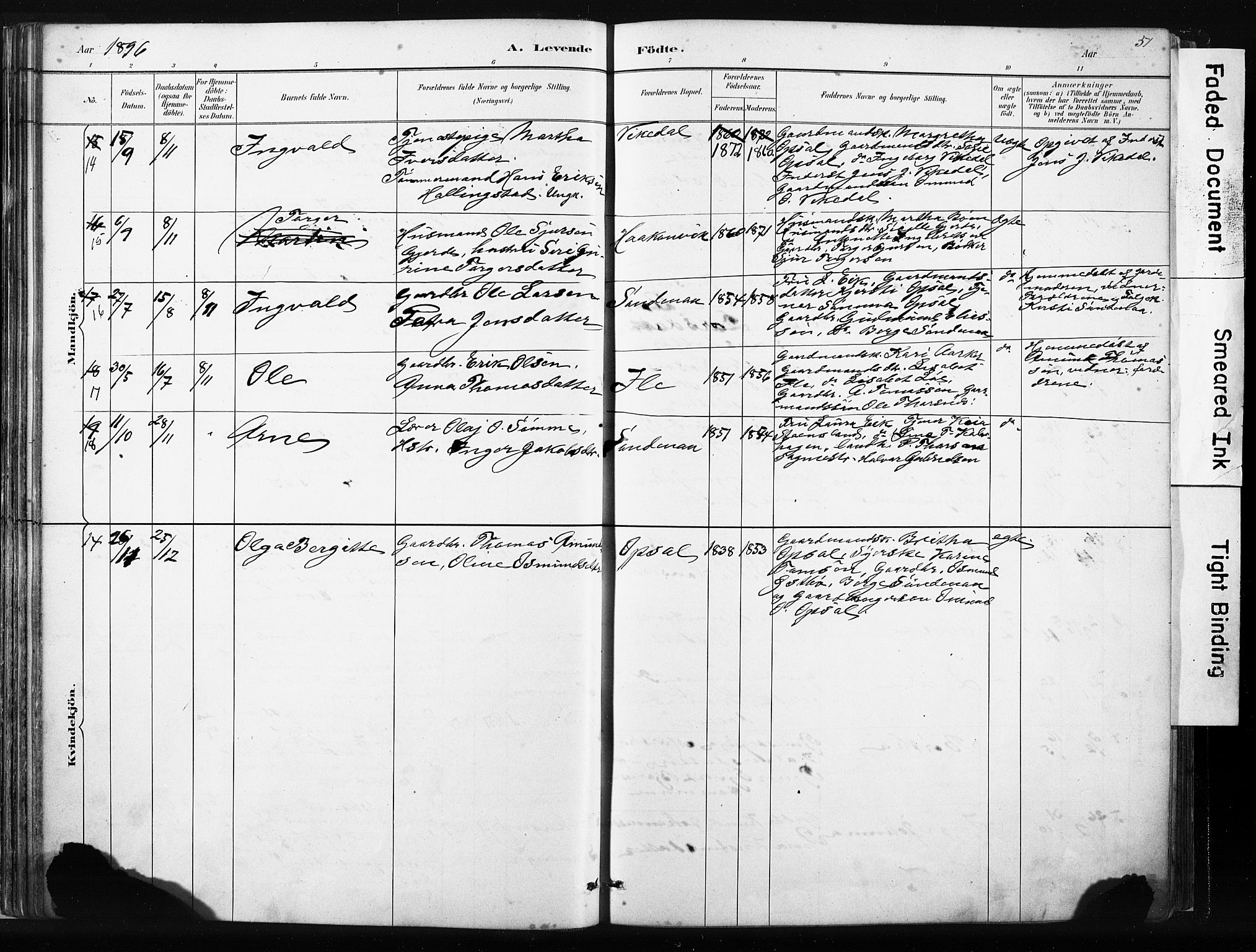 Vikedal sokneprestkontor, AV/SAST-A-101840/01/IV: Parish register (official) no. A 10, 1884-1907, p. 51