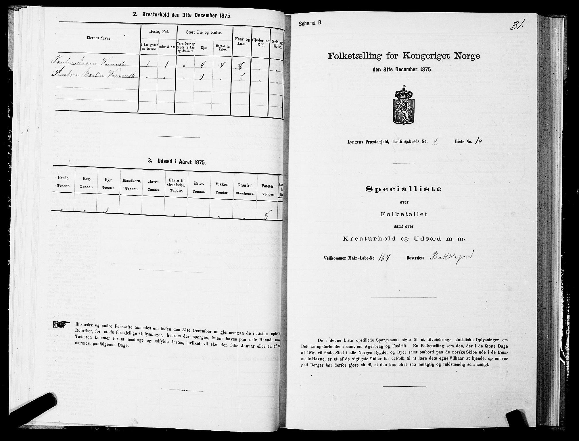 SATØ, 1875 census for 1938P Lyngen, 1875, p. 2031