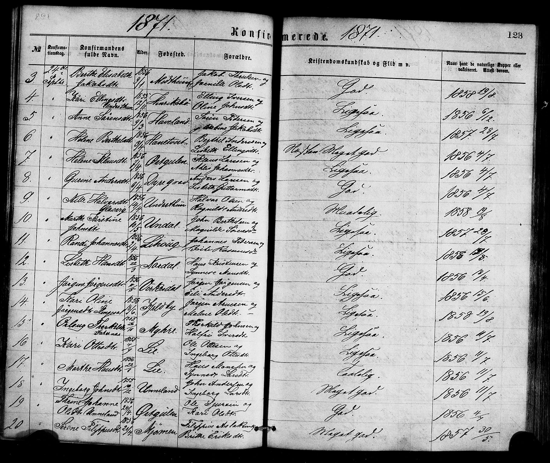 Gulen sokneprestembete, AV/SAB-A-80201/H/Haa/Haaa/L0023: Parish register (official) no. A 23, 1870-1880, p. 123