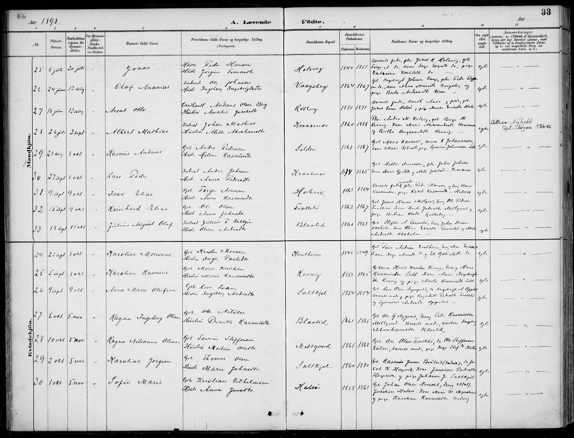 Selje sokneprestembete, SAB/A-99938/H/Ha/Haa/Haac/L0002: Parish register (official) no. C  2, 1889-1904, p. 33