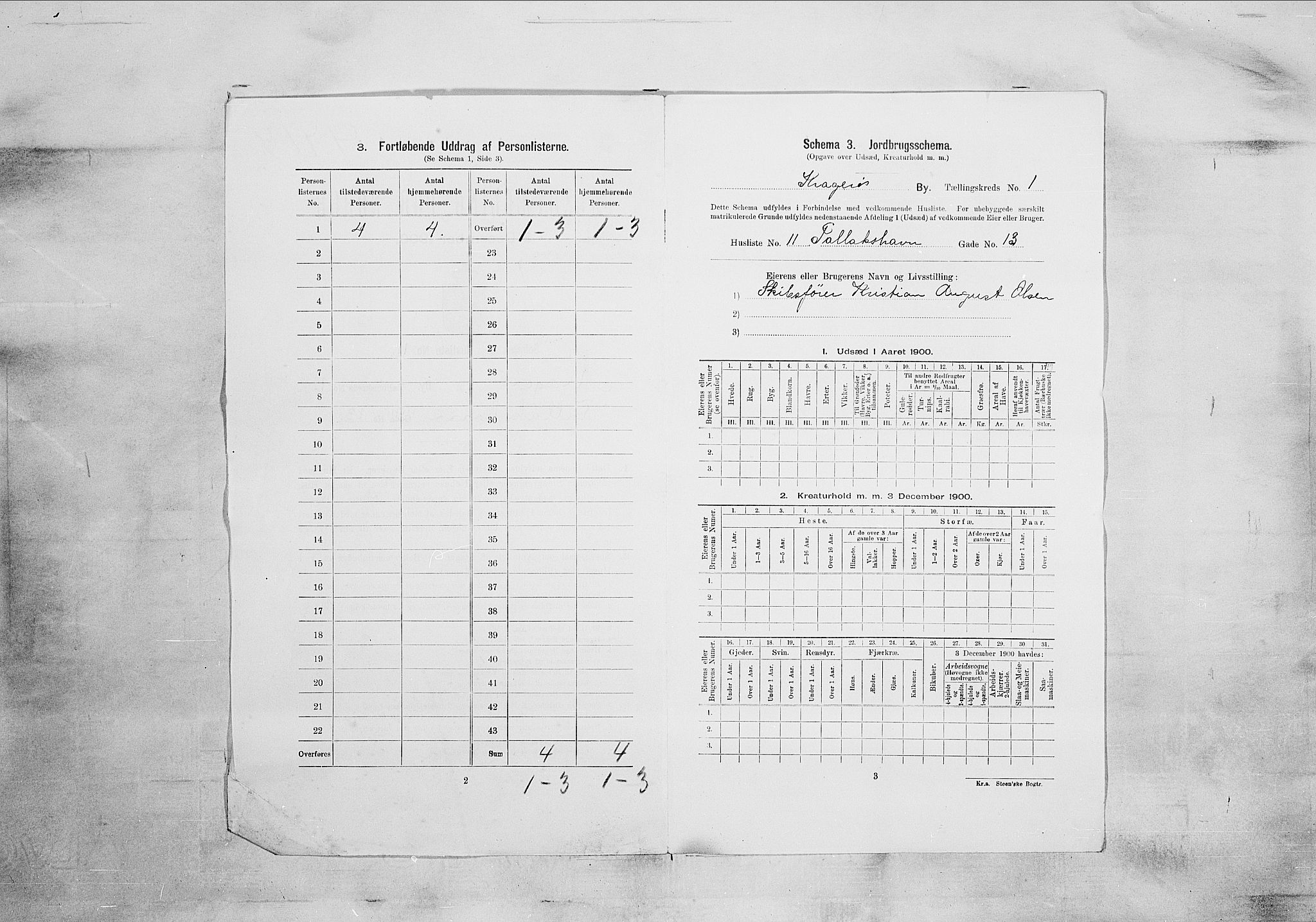SAKO, 1900 census for Kragerø, 1900, p. 3771