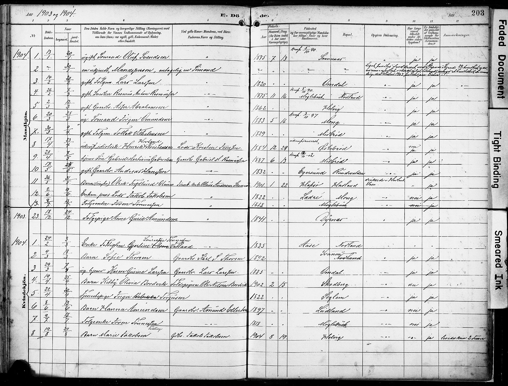 Eigersund sokneprestkontor, SAST/A-101807/S08/L0018: Parish register (official) no. A 17, 1892-1905, p. 203