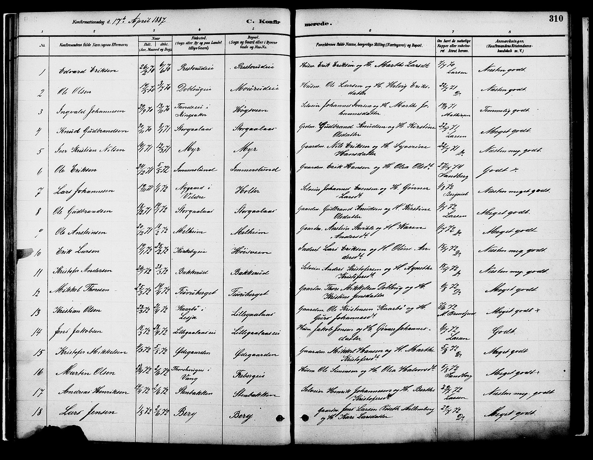 Vang prestekontor, Hedmark, AV/SAH-PREST-008/H/Ha/Haa/L0018B: Parish register (official) no. 18B, 1880-1906, p. 310