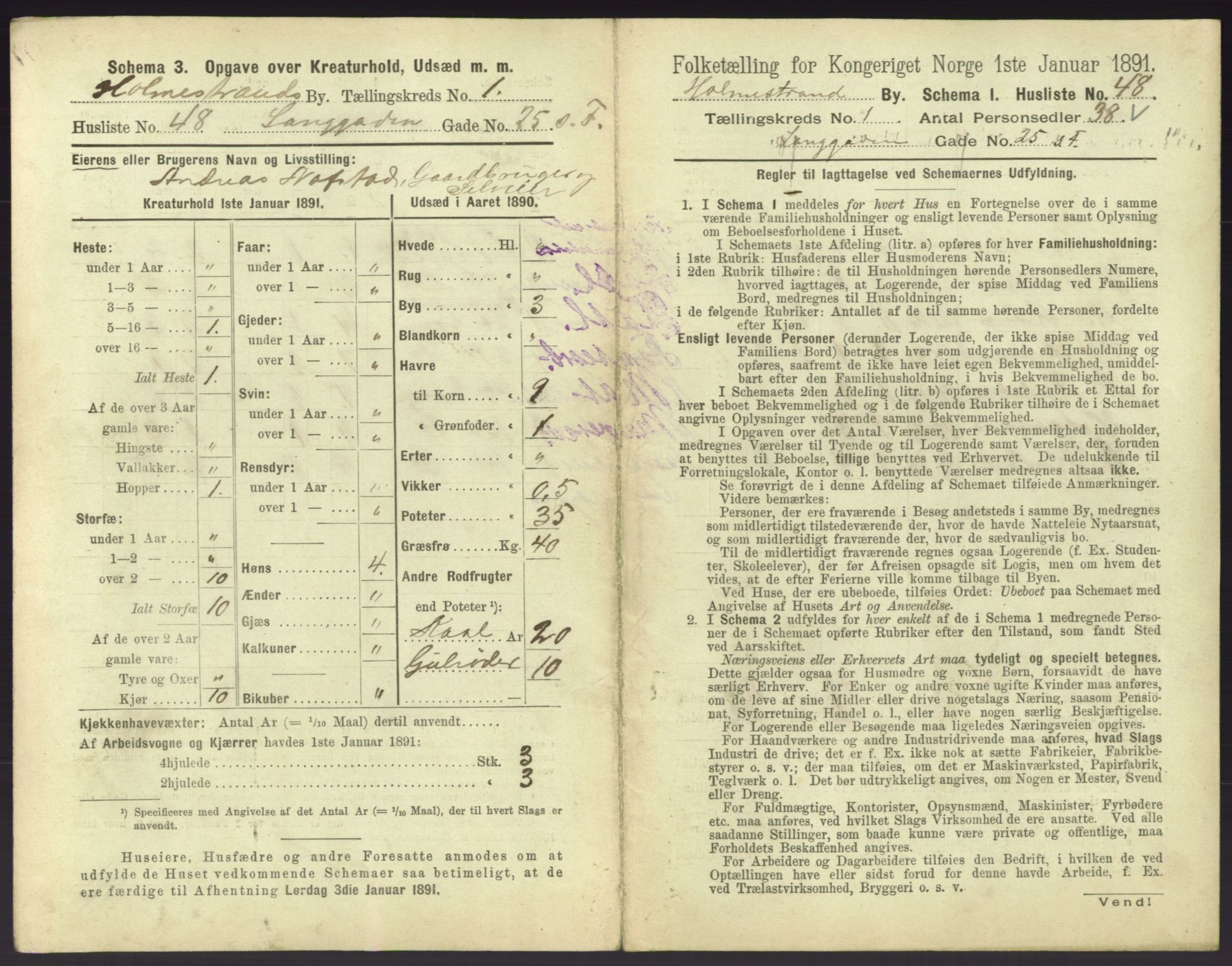 RA, 1891 census for 0702 Holmestrand, 1891, p. 112