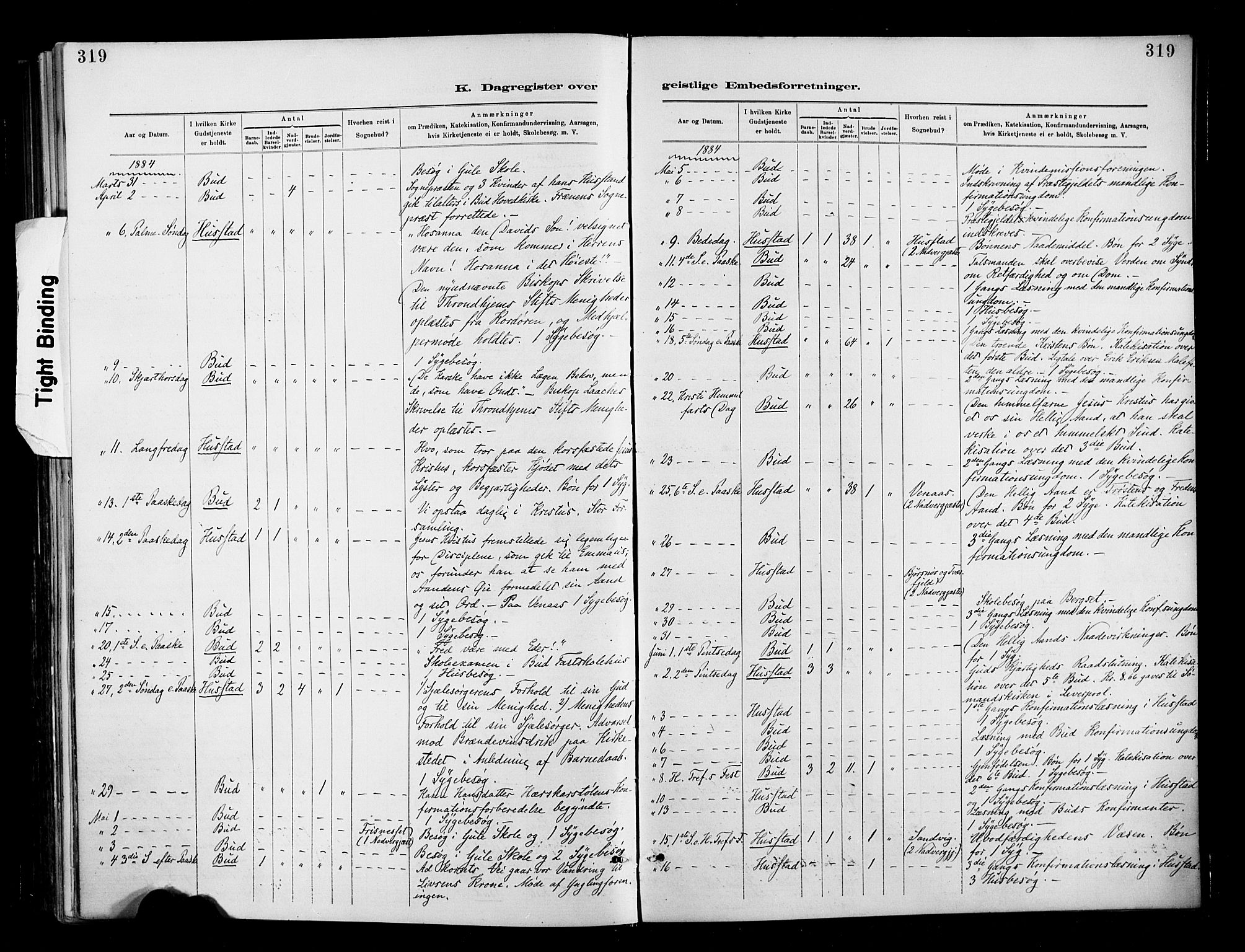 Ministerialprotokoller, klokkerbøker og fødselsregistre - Møre og Romsdal, AV/SAT-A-1454/566/L0769: Parish register (official) no. 566A08, 1881-1903, p. 319