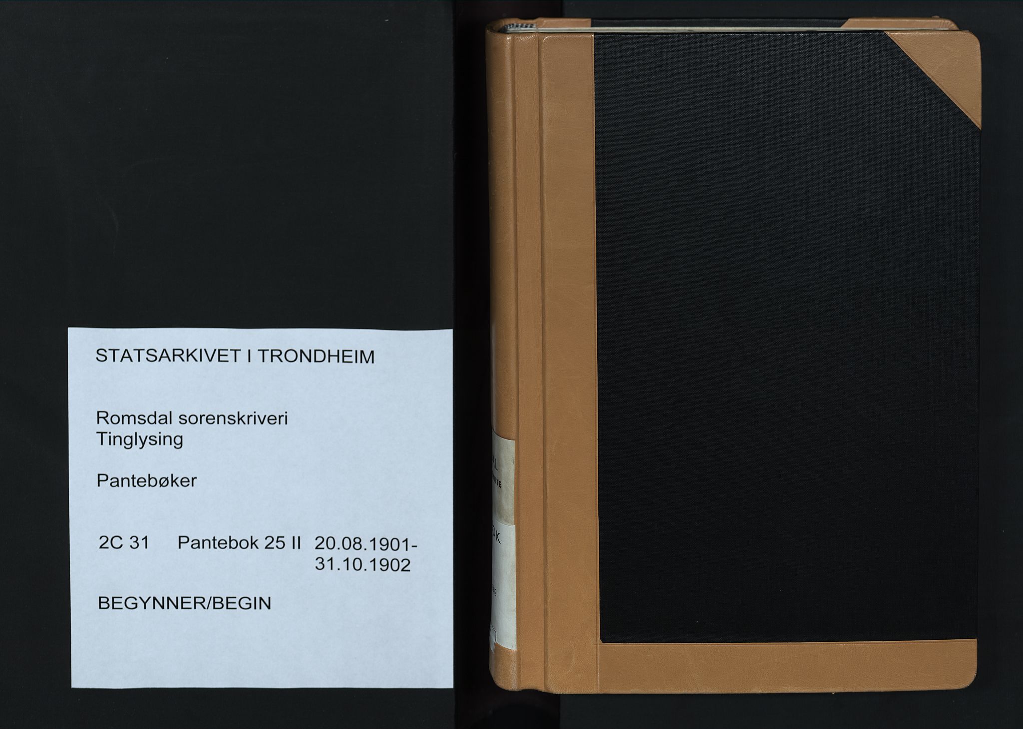 Romsdal sorenskriveri, AV/SAT-A-4149/1/2/2C/L0031: Mortgage book no. 25 II, 1901-1902