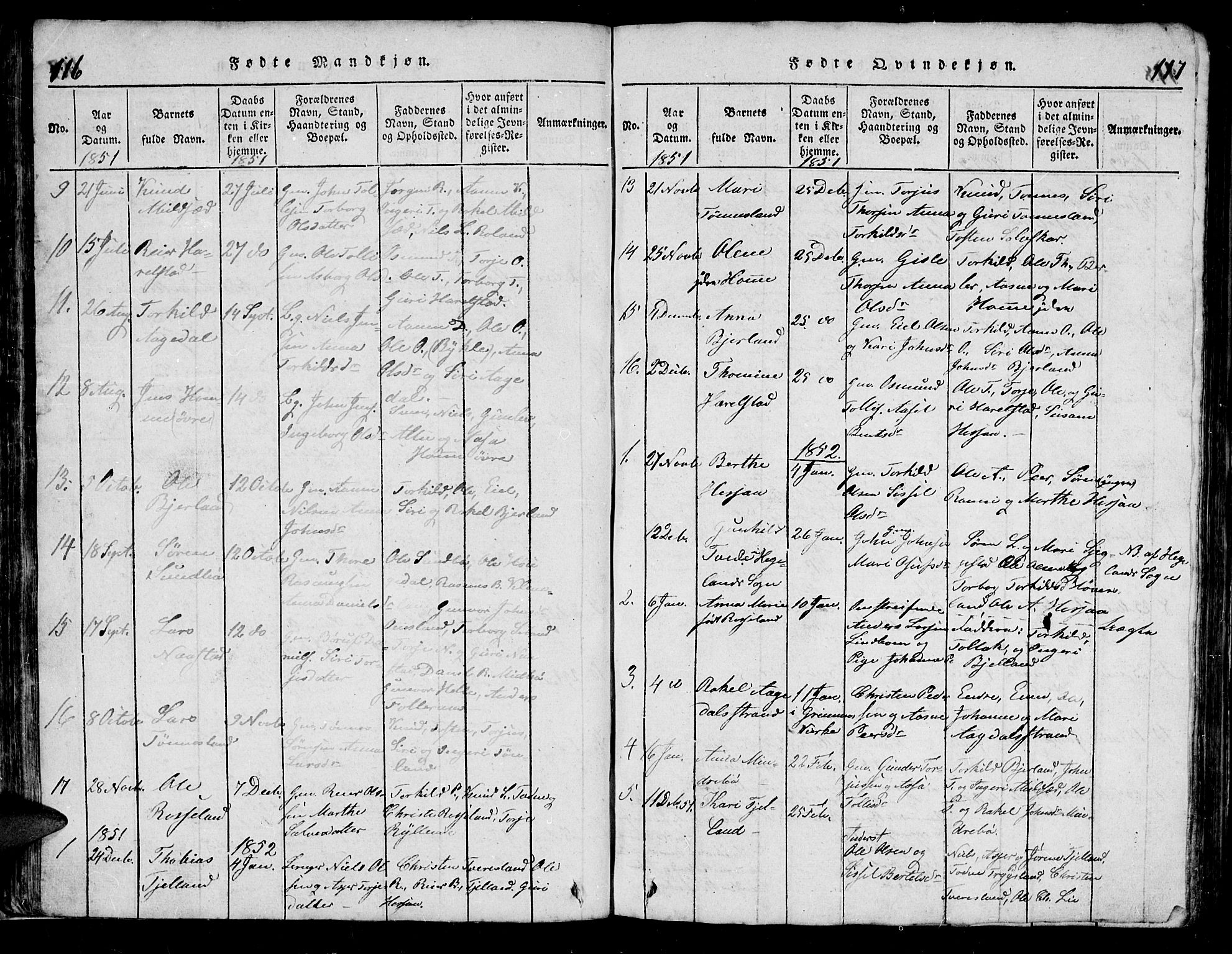 Bjelland sokneprestkontor, SAK/1111-0005/F/Fb/Fba/L0003: Parish register (copy) no. B 3, 1816-1870, p. 116-117