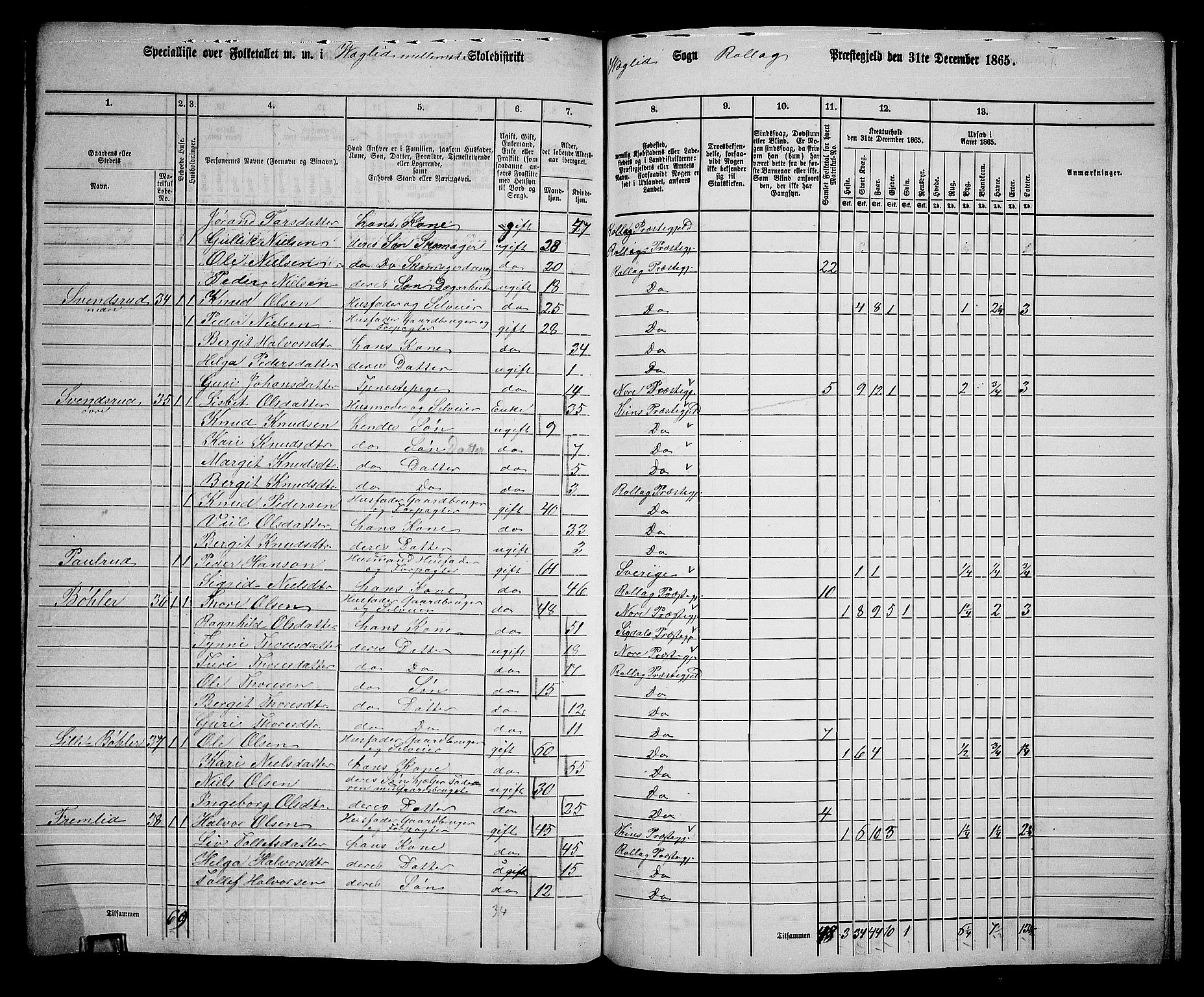 RA, 1865 census for Rollag, 1865, p. 59