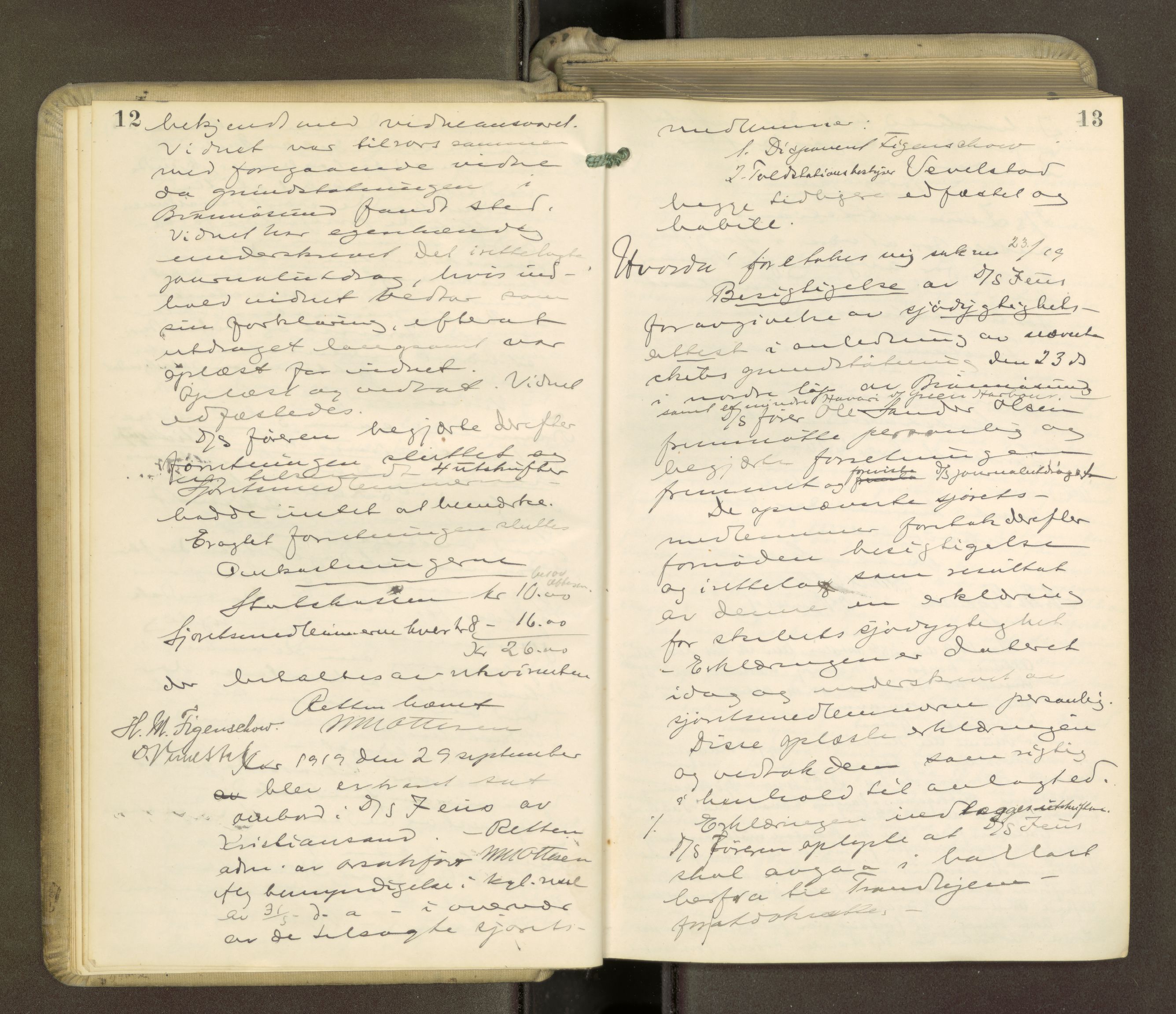 Brønnøy sorenskriveri, AV/SAT-A-4170/1/1/1B/L0001: Ekstrarettsprotokoll, 1919-1926, p. 12-13