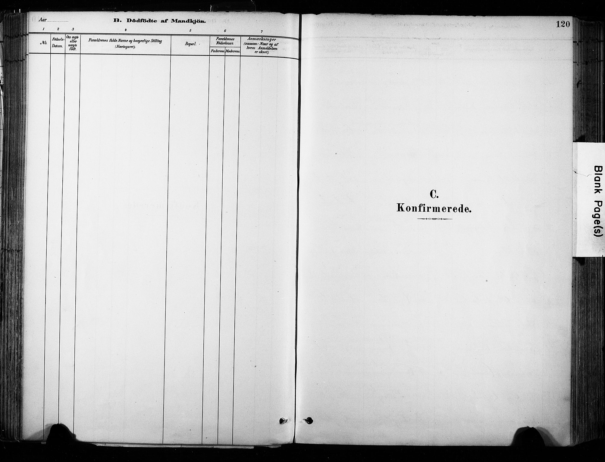 Hedrum kirkebøker, SAKO/A-344/F/Fa/L0009: Parish register (official) no. I 9, 1881-1903, p. 120