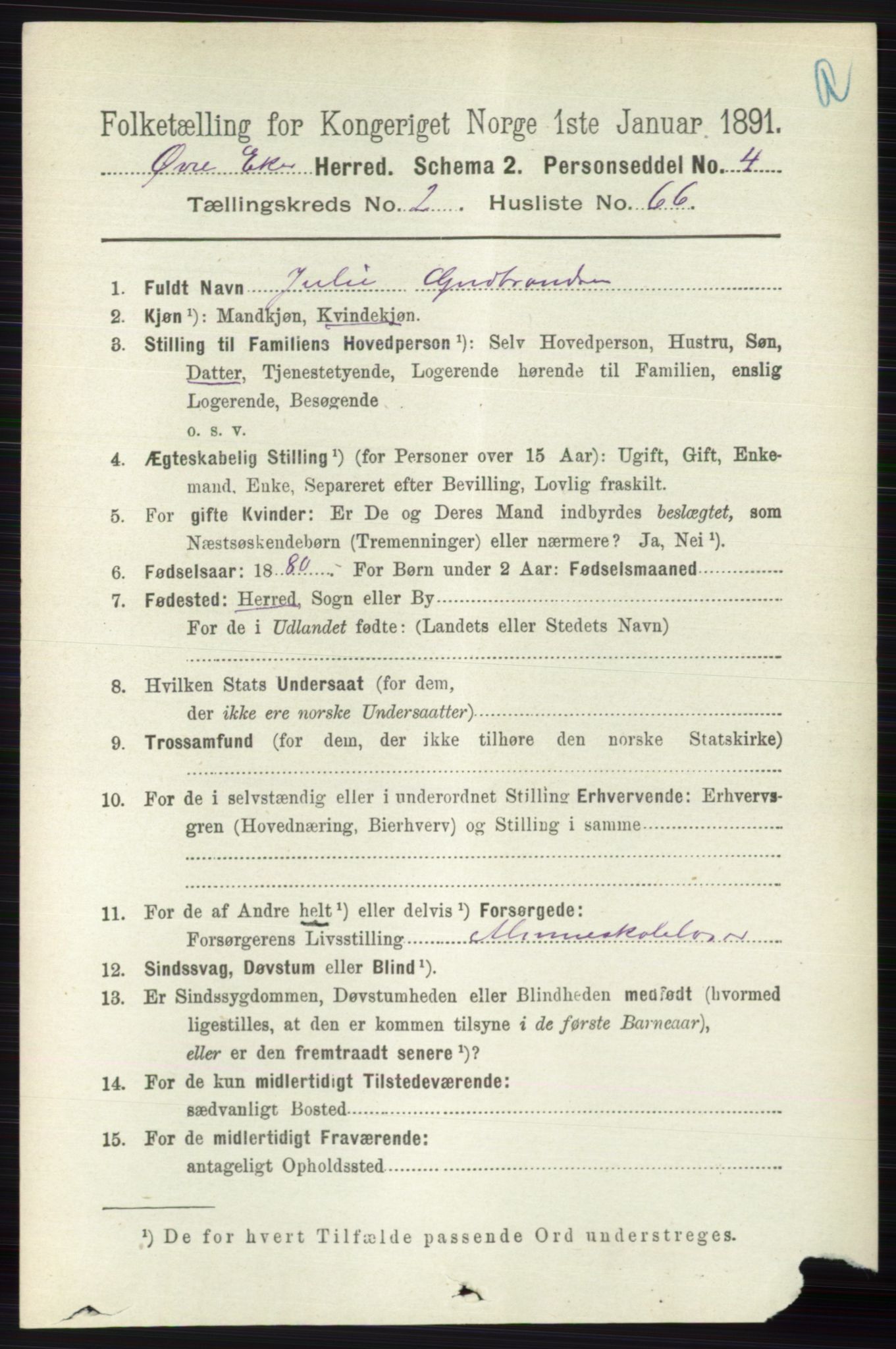 RA, 1891 census for 0624 Øvre Eiker, 1891, p. 917