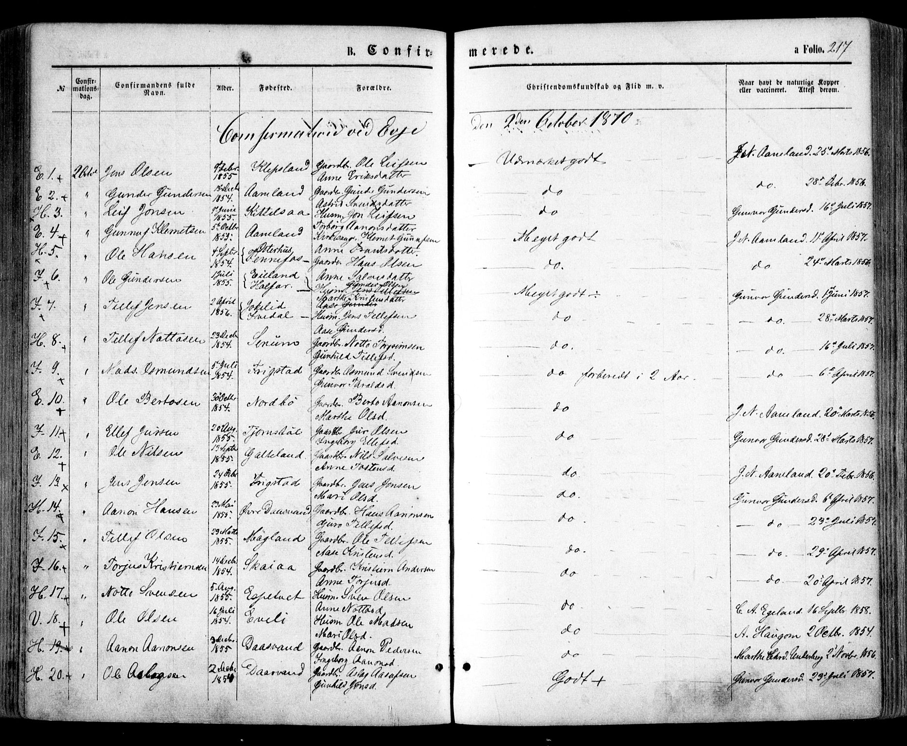 Evje sokneprestkontor, SAK/1111-0008/F/Fa/Faa/L0006: Parish register (official) no. A 6, 1866-1884, p. 217