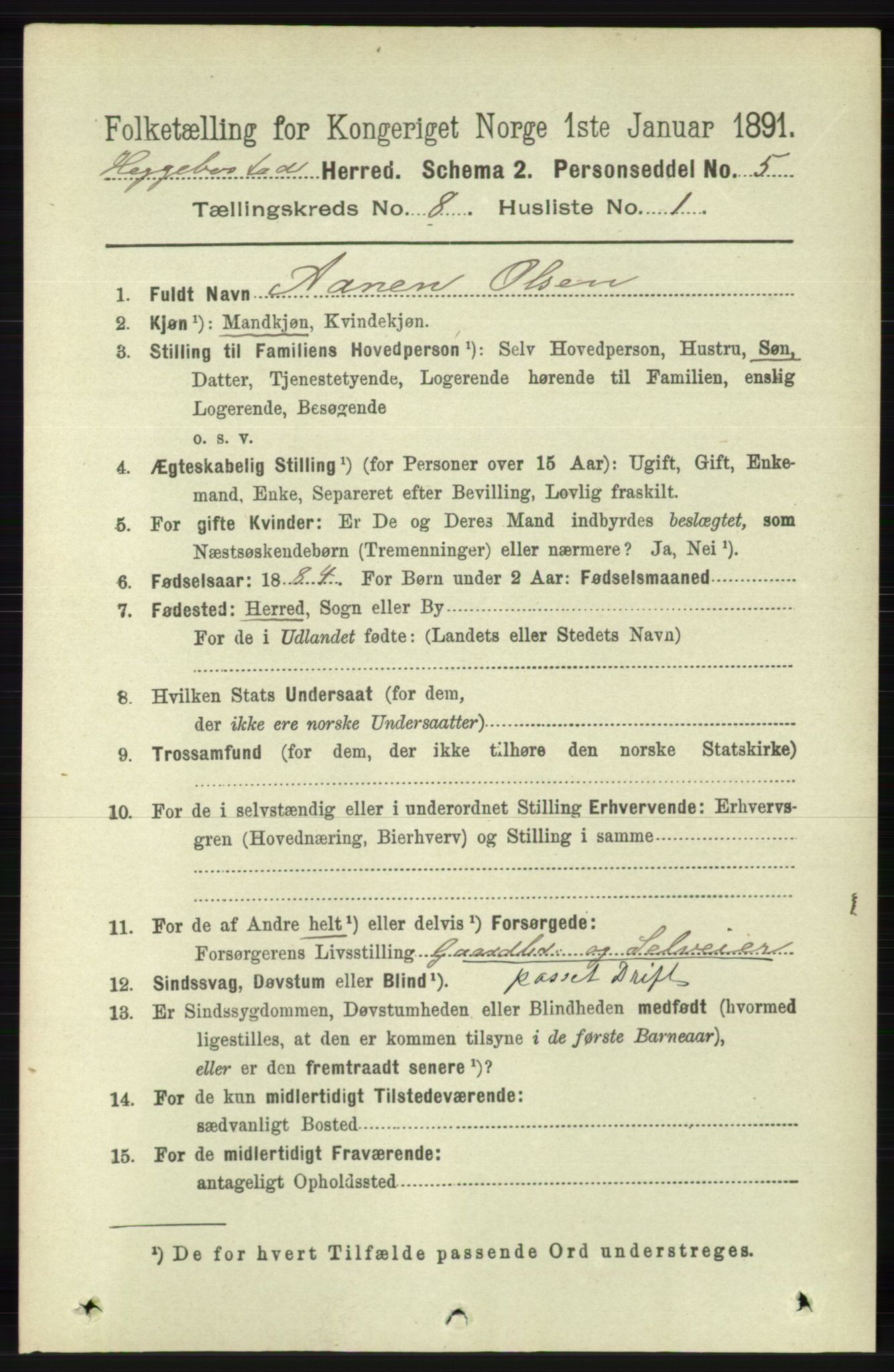 RA, 1891 census for 1034 Hægebostad, 1891, p. 2469