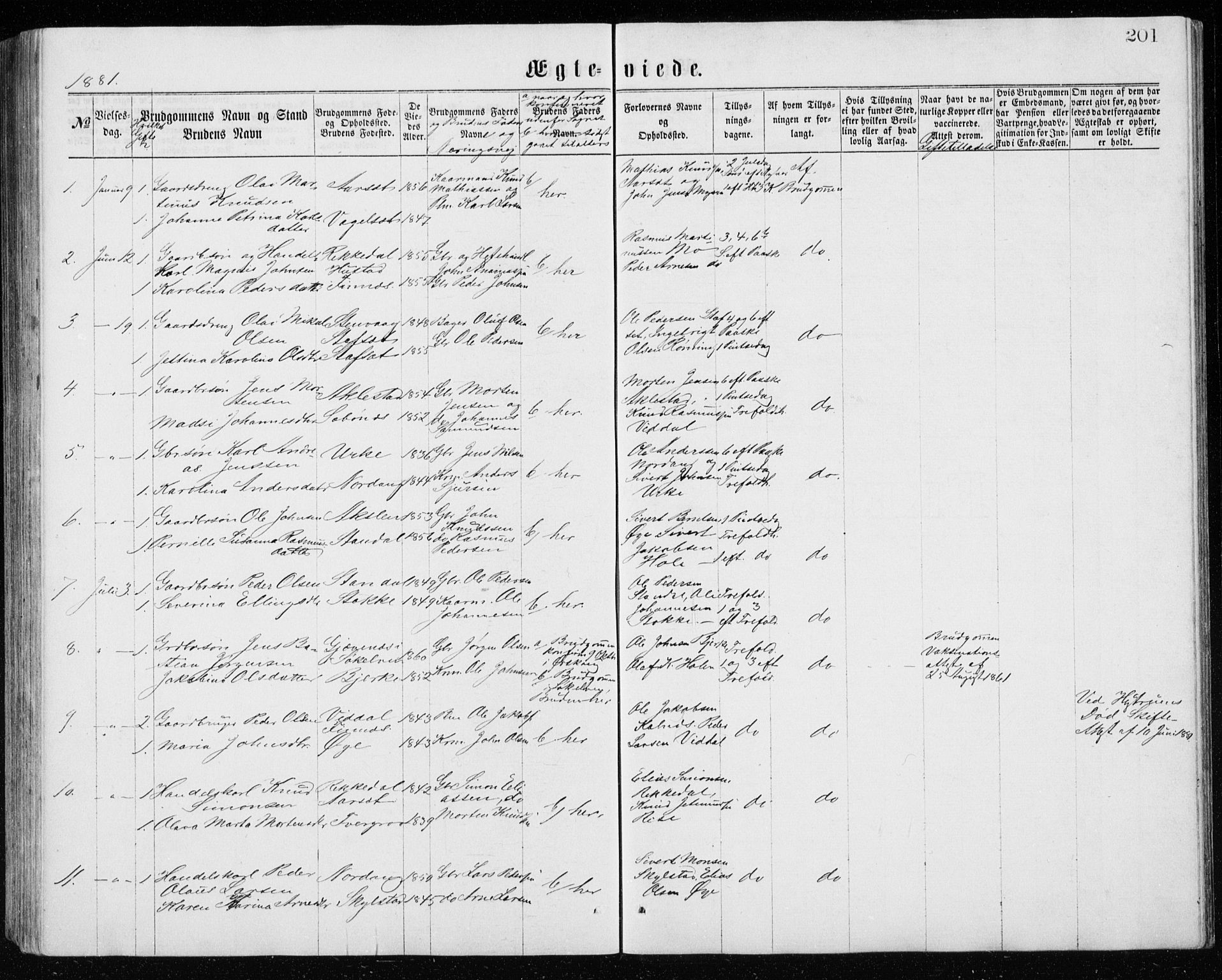 Ministerialprotokoller, klokkerbøker og fødselsregistre - Møre og Romsdal, AV/SAT-A-1454/515/L0214: Parish register (copy) no. 515C01, 1865-1883, p. 201