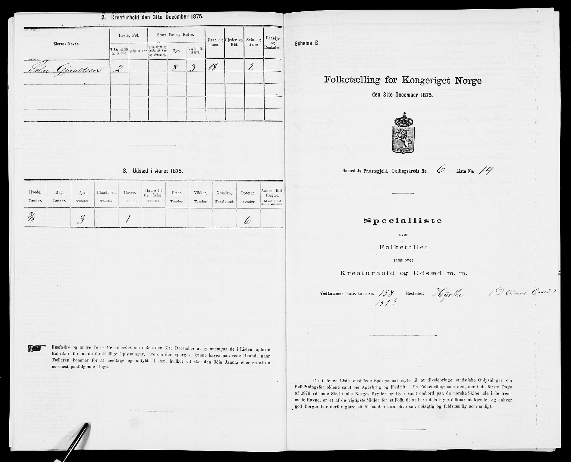 SAK, 1875 census for 0924P Homedal, 1875, p. 1064