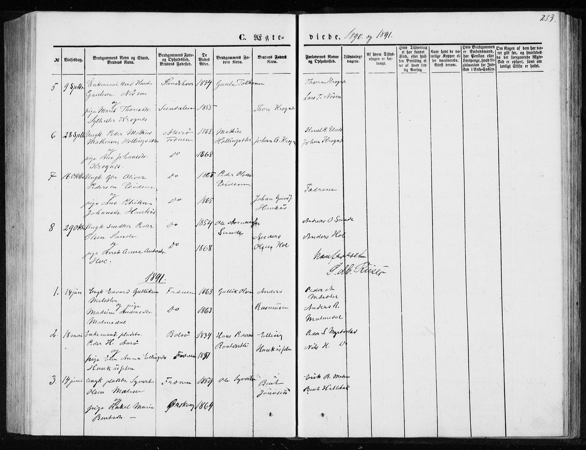 Ministerialprotokoller, klokkerbøker og fødselsregistre - Møre og Romsdal, SAT/A-1454/565/L0754: Parish register (copy) no. 565C03, 1870-1896, p. 233