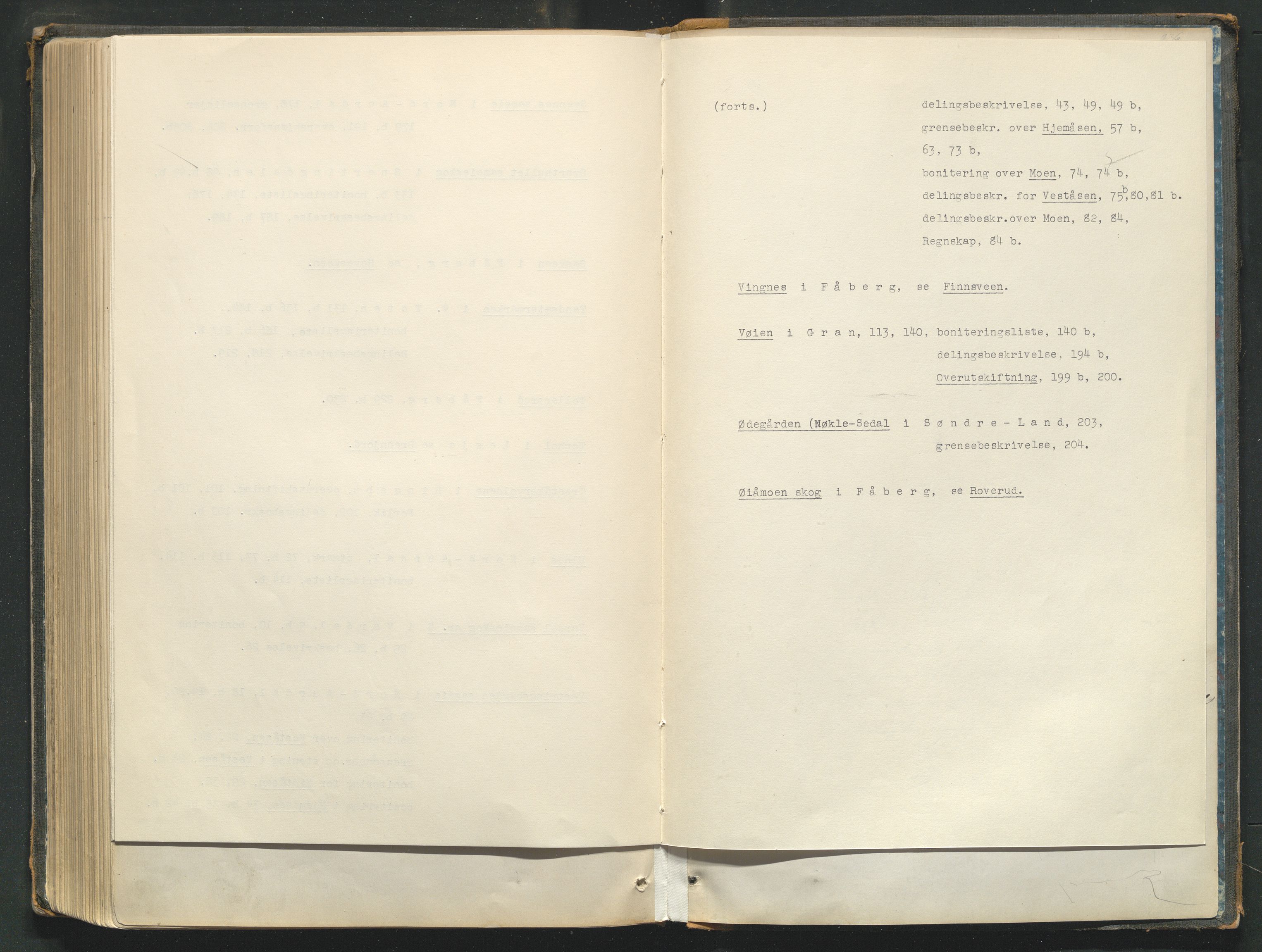 Utskiftningsformannen i Oppland fylke, AV/SAH-JORDSKIFTEO-001/H/Hc/Hcg/L0001/0001: Forhandlingsprotokoller  / Forhandlingsprotokoll - hele Oppland, 1867-1875