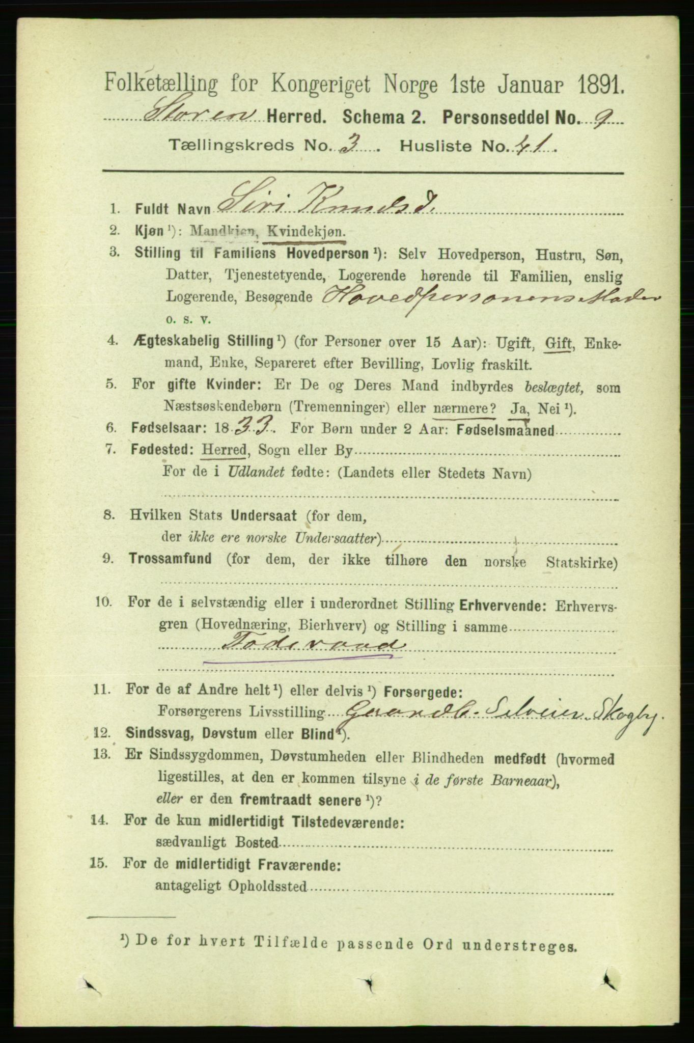 RA, 1891 census for 1648 Støren, 1891, p. 1034