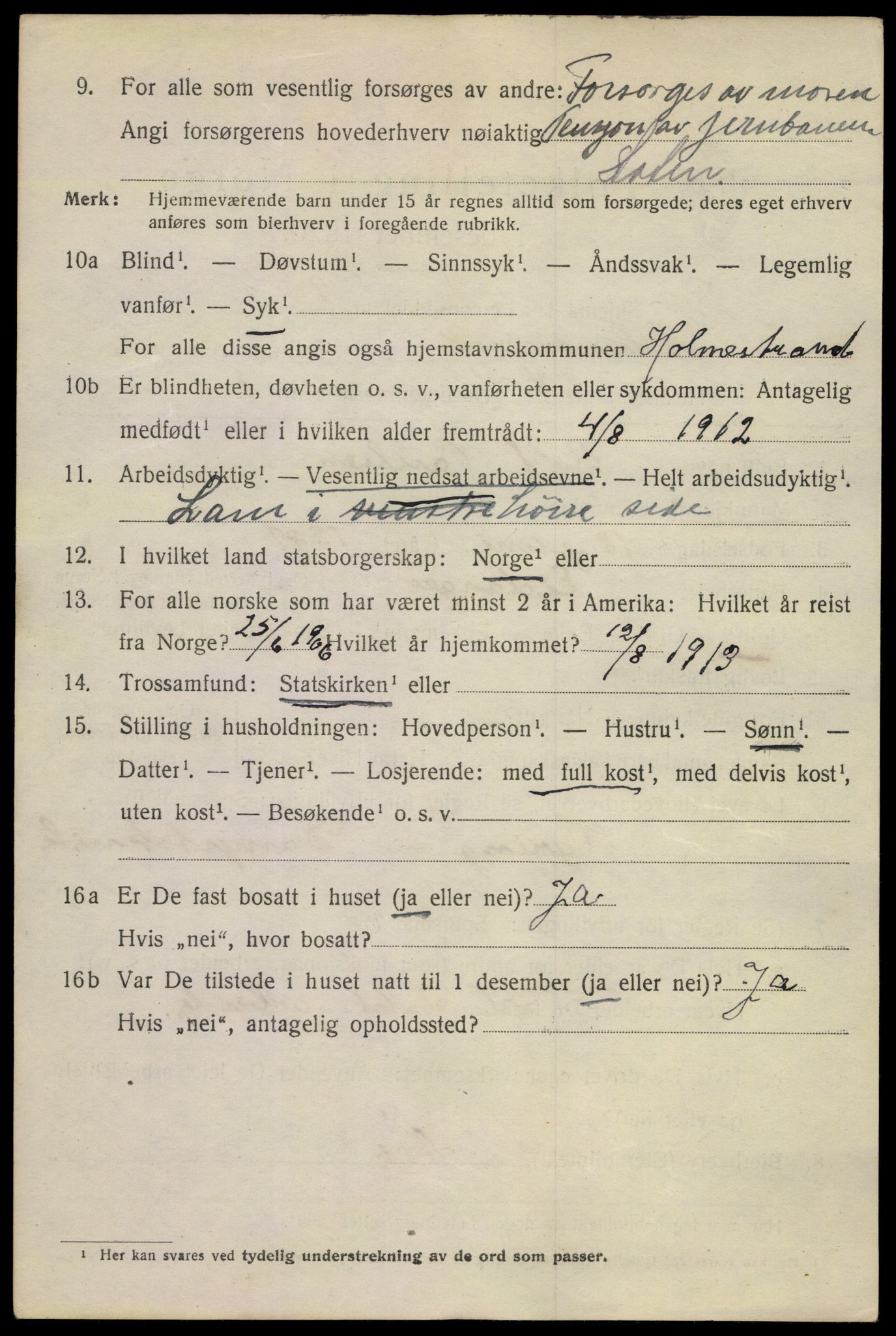 SAKO, 1920 census for Holmestrand, 1920, p. 2845