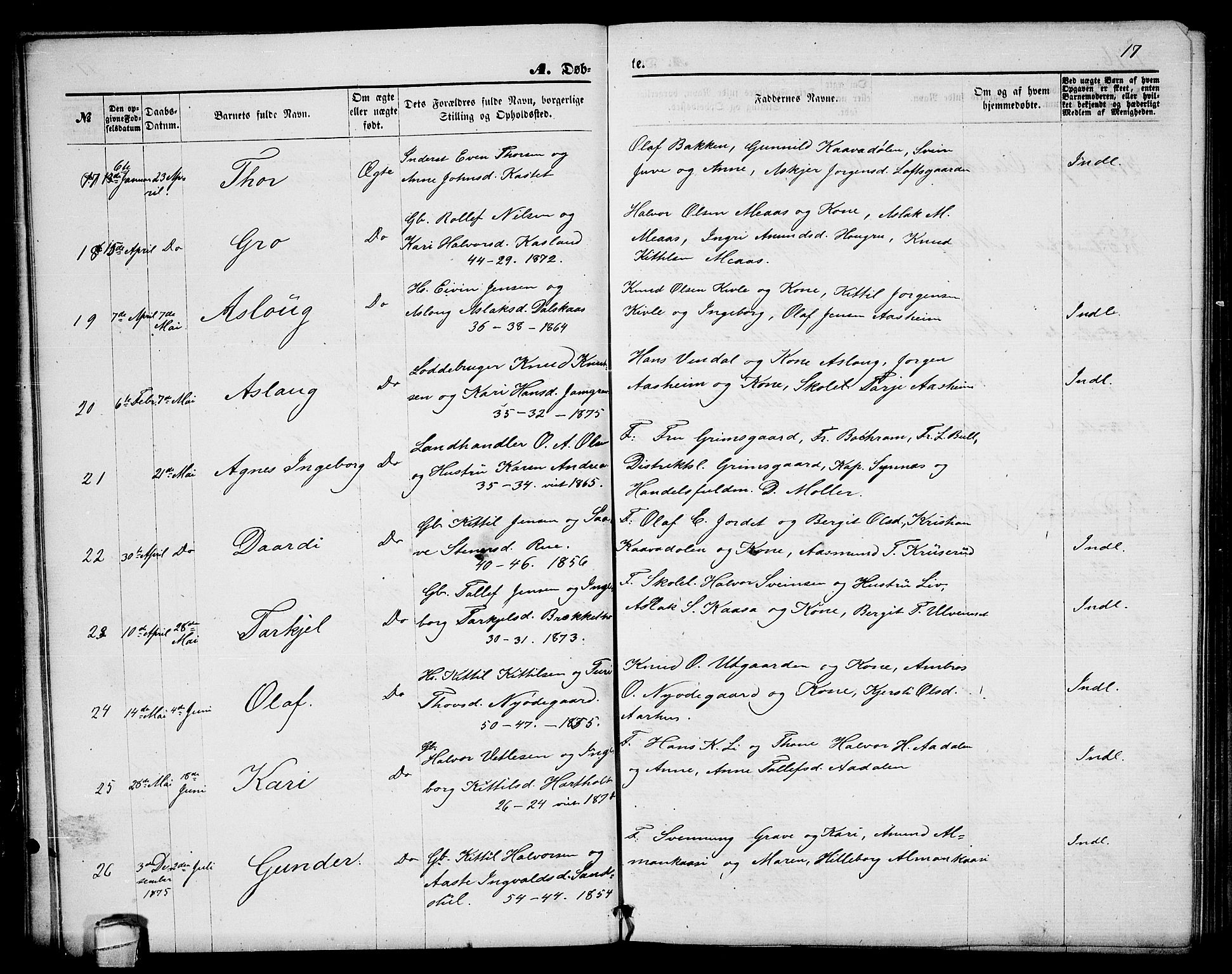 Seljord kirkebøker, AV/SAKO-A-20/G/Ga/L0004: Parish register (copy) no. I 4, 1873-1886, p. 17