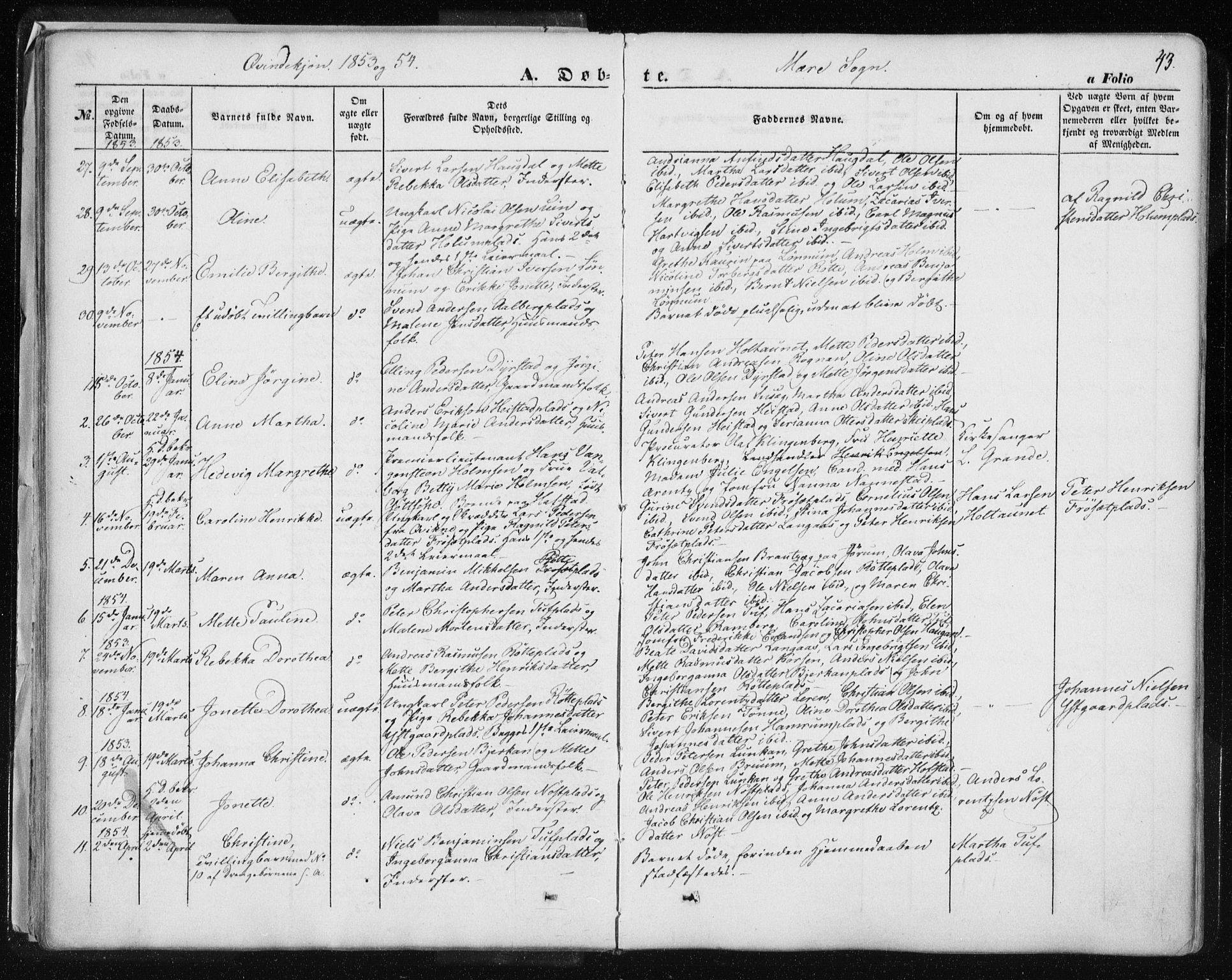 Ministerialprotokoller, klokkerbøker og fødselsregistre - Nord-Trøndelag, SAT/A-1458/735/L0342: Parish register (official) no. 735A07 /1, 1849-1862, p. 43