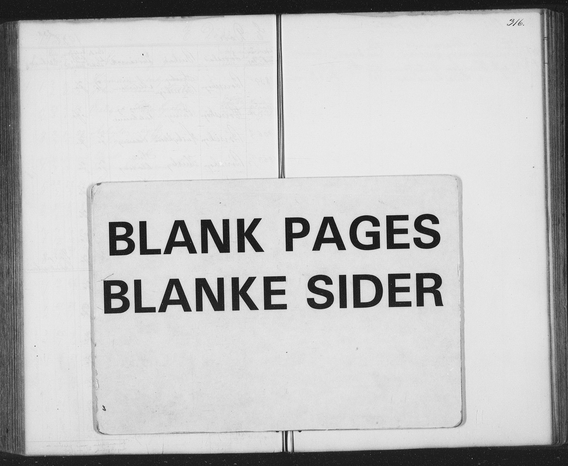 Ministerialprotokoller, klokkerbøker og fødselsregistre - Sør-Trøndelag, SAT/A-1456/667/L0798: Parish register (copy) no. 667C03, 1867-1929, p. 316