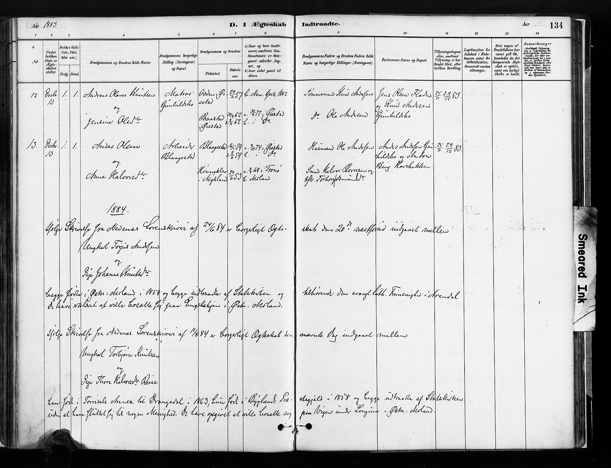 Austre Moland sokneprestkontor, SAK/1111-0001/F/Fa/Faa/L0010: Parish register (official) no. A 10, 1880-1904, p. 134