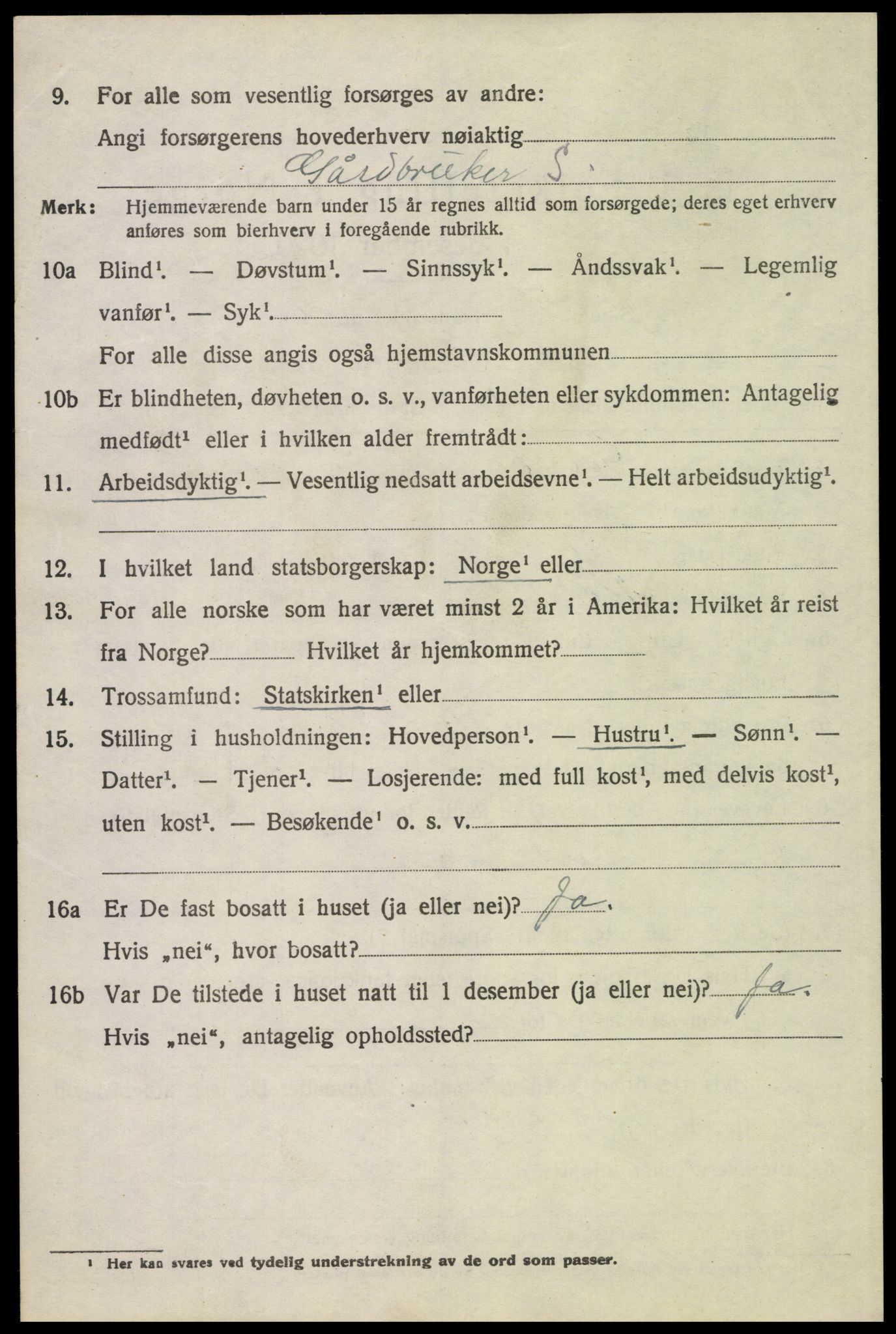 SAH, 1920 census for Tynset, 1920, p. 9229