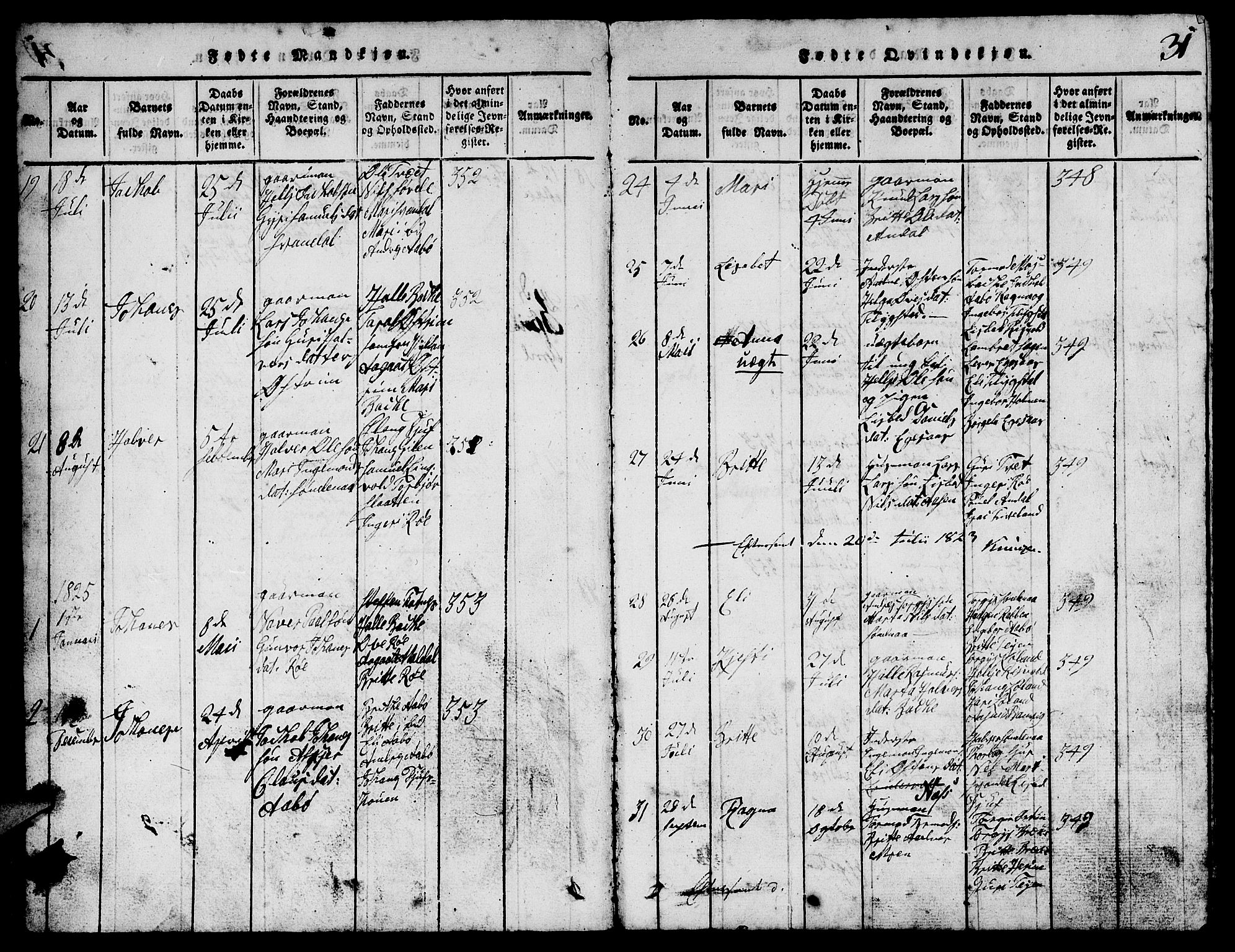 Suldal sokneprestkontor, SAST/A-101845/01/V/L0002: Parish register (copy) no. B 2, 1816-1845, p. 31