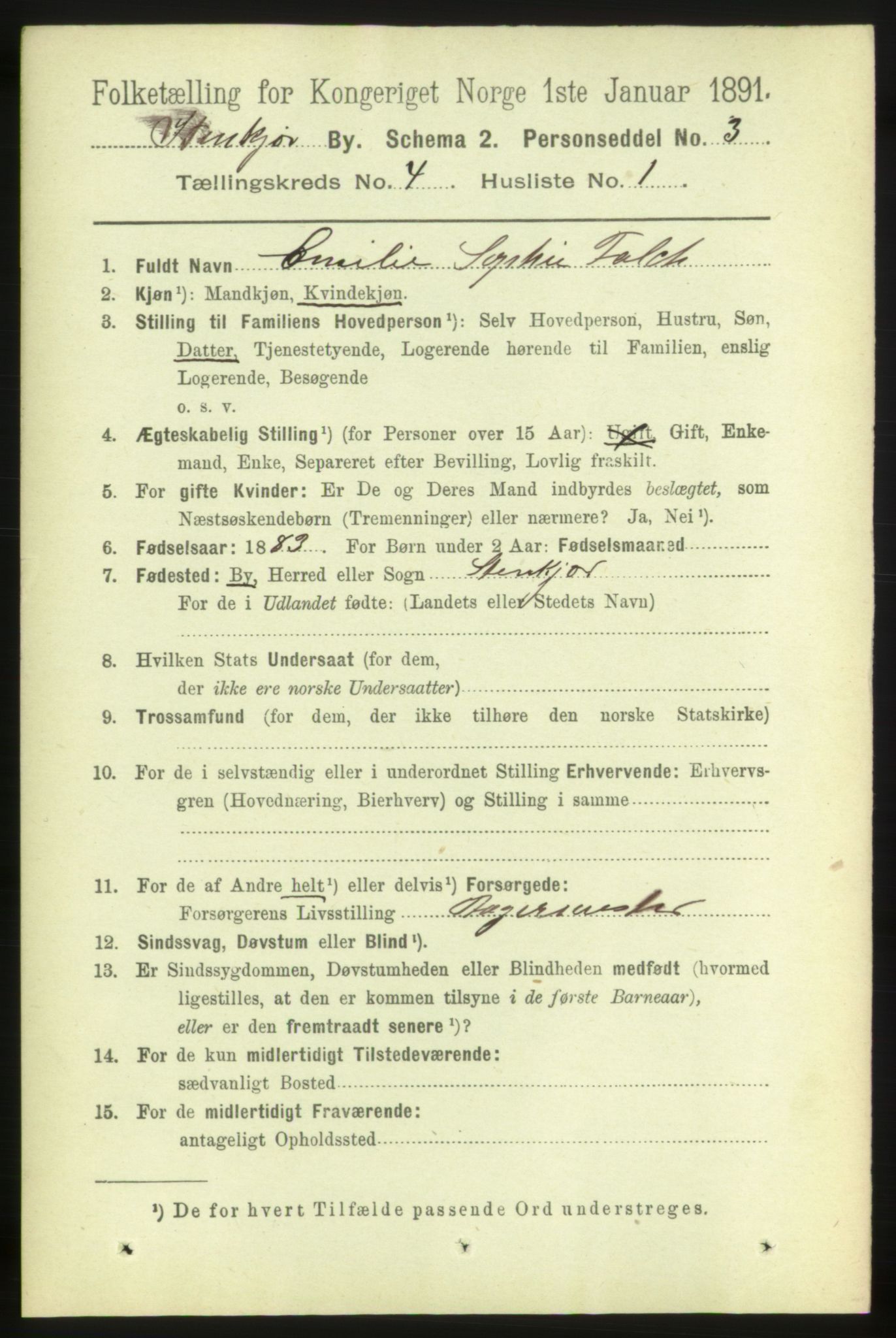 RA, 1891 census for 1702 Steinkjer, 1891, p. 1266