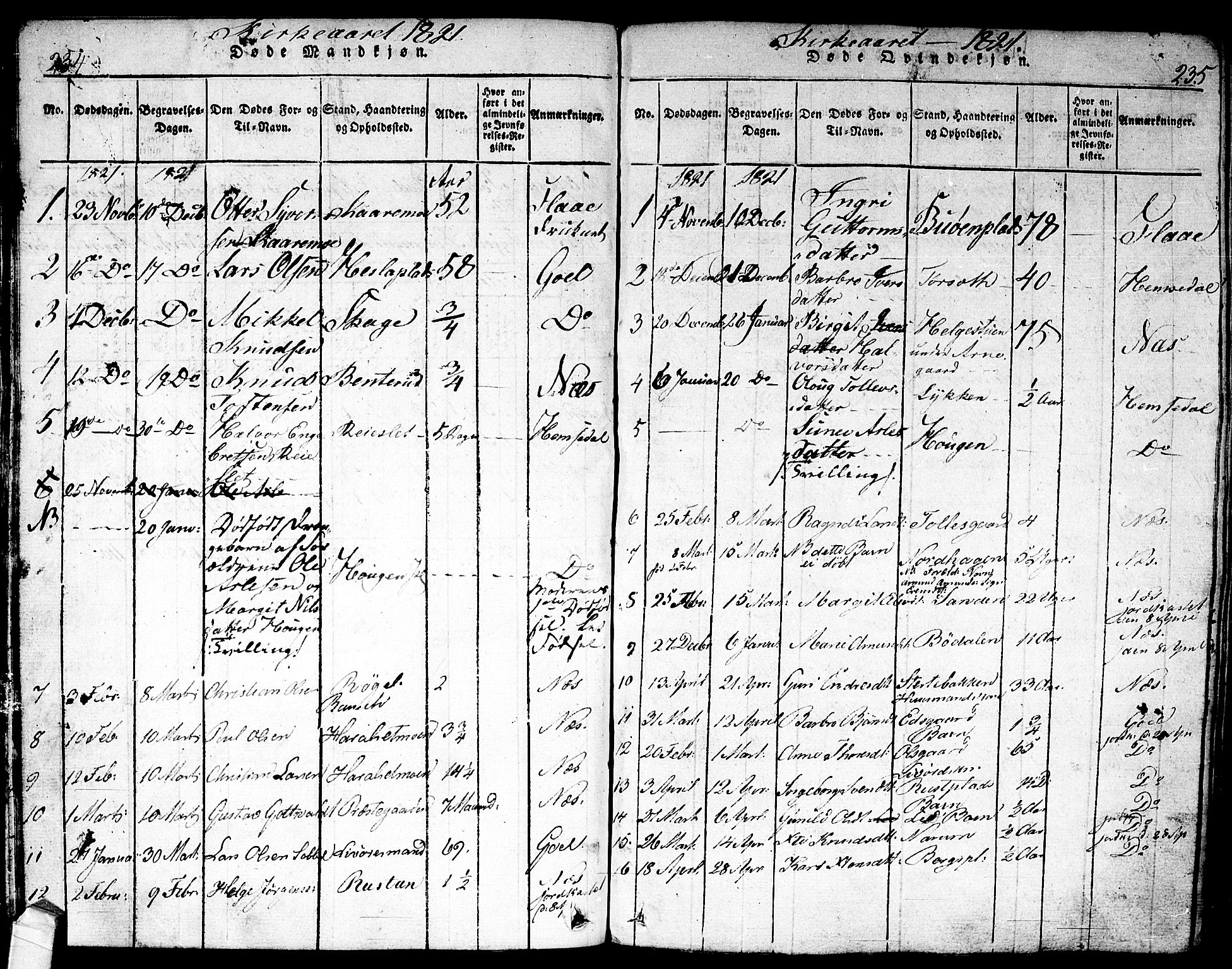 Nes kirkebøker, AV/SAKO-A-236/F/Fa/L0007: Parish register (official) no. 7, 1815-1823, p. 234-235