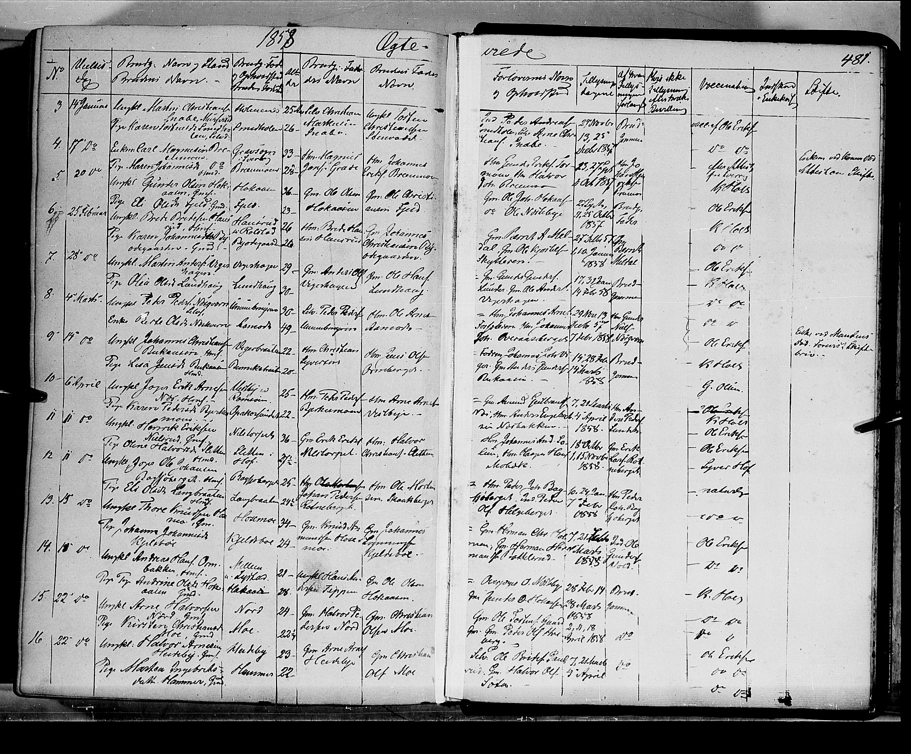 Grue prestekontor, AV/SAH-PREST-036/H/Ha/Haa/L0008: Parish register (official) no. 8, 1847-1858, p. 481