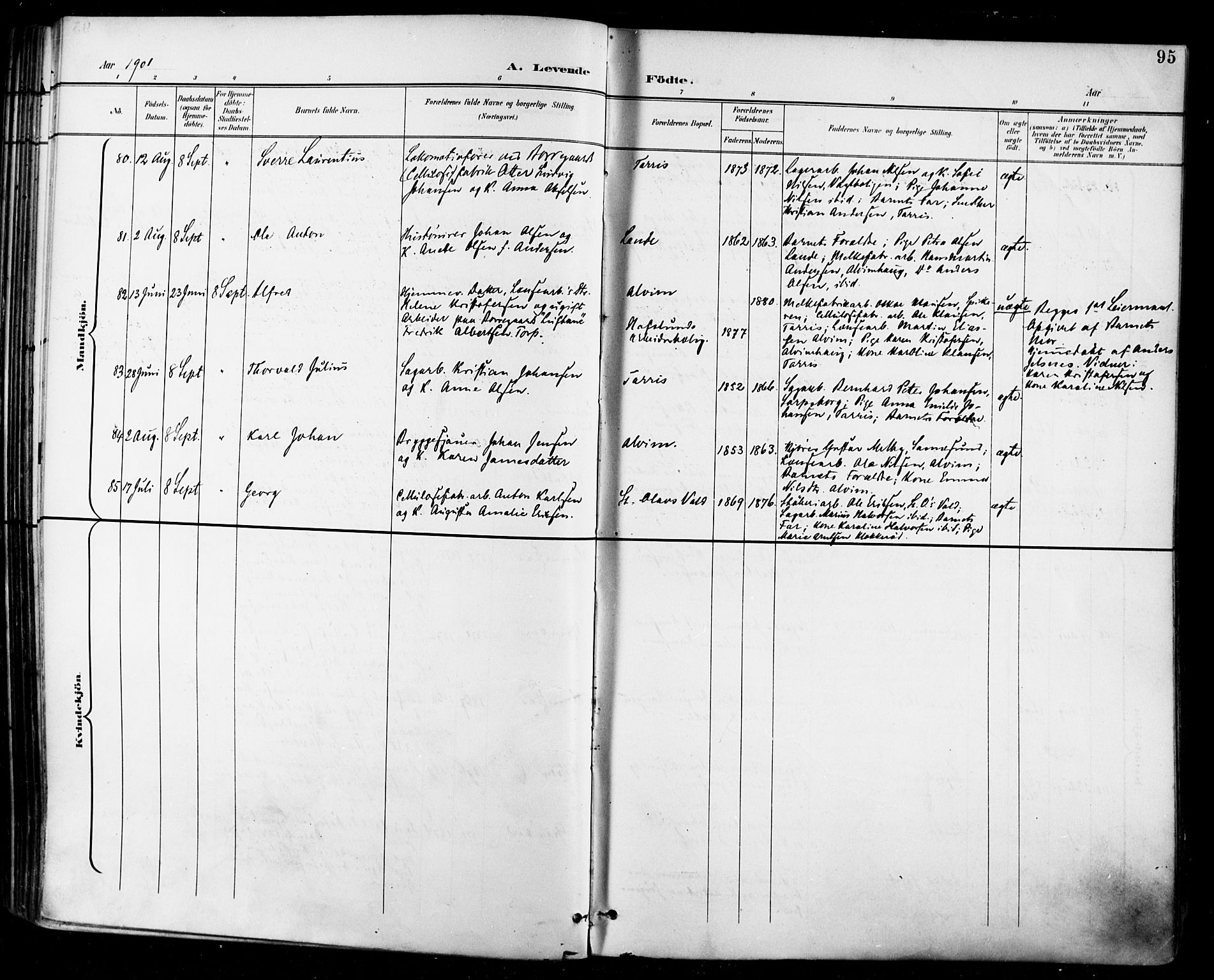 Tune prestekontor Kirkebøker, SAO/A-2007/F/Fa/L0019: Parish register (official) no. 19, 1898-1904, p. 95