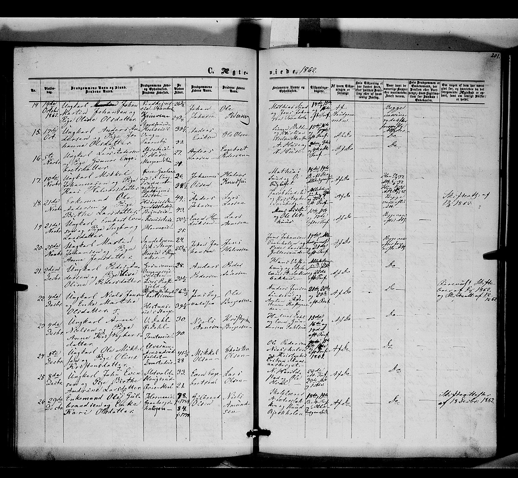 Romedal prestekontor, SAH/PREST-004/K/L0005: Parish register (official) no. 5, 1862-1874, p. 201