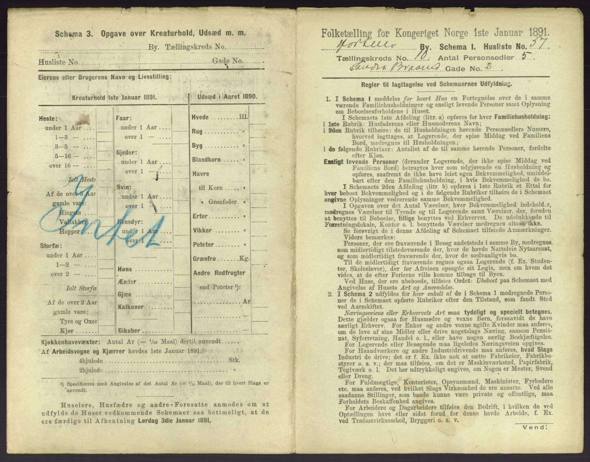 RA, 1891 census for 0703 Horten, 1891, p. 1157